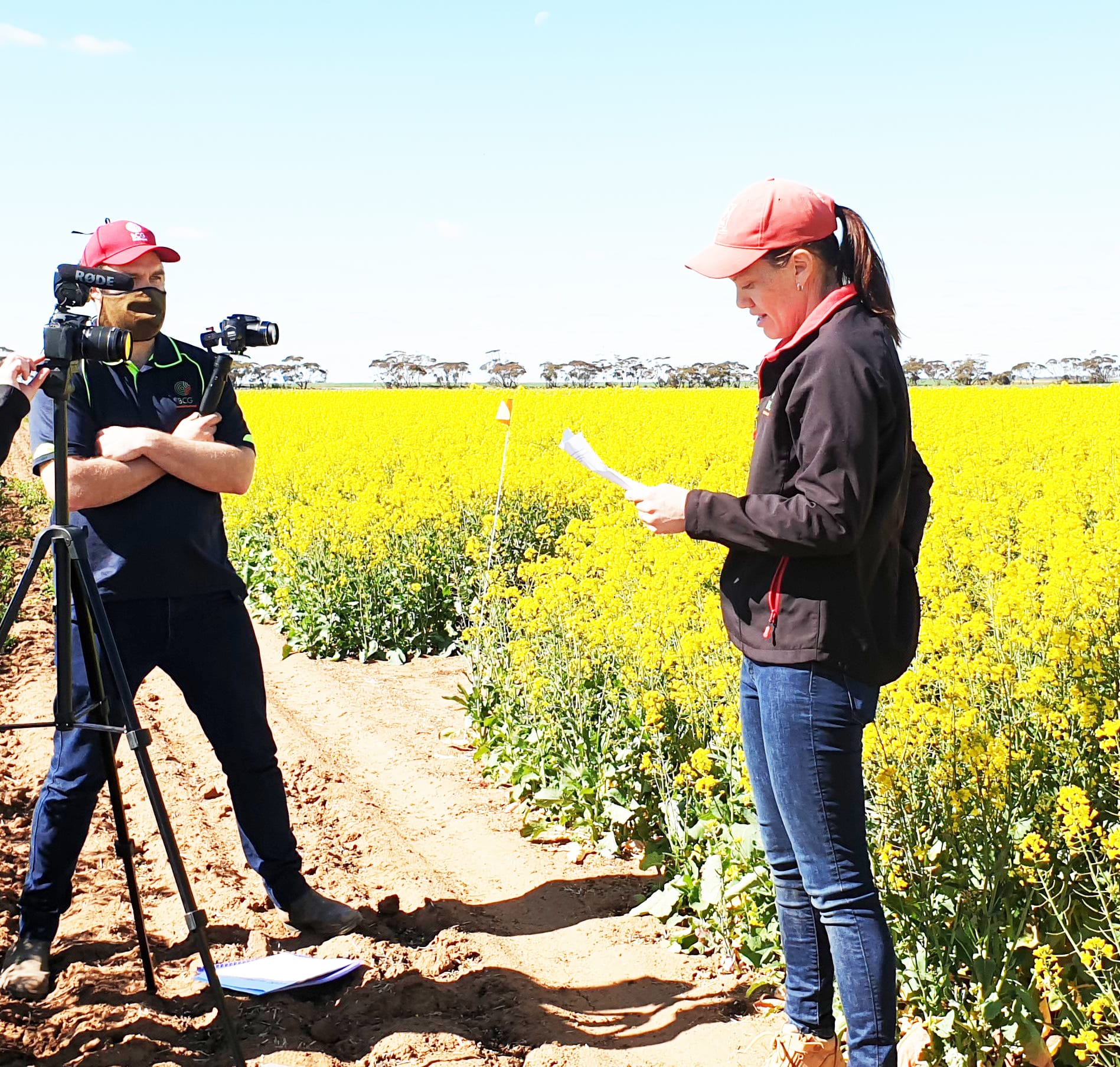 BCG Main Field Day Information Goes Digital