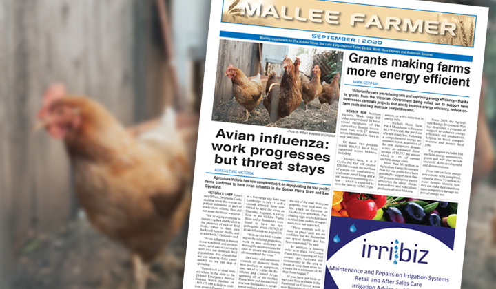 SEPTEMBER - Friday, September 11, 2020