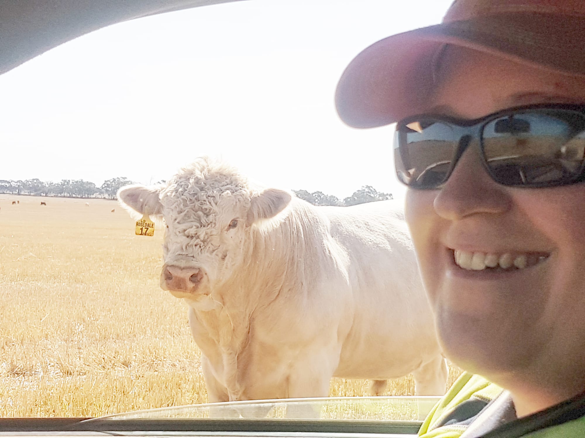 A Closer Look at Locals . . .