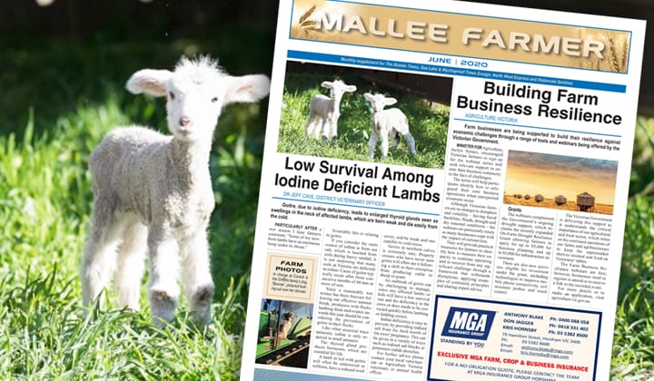 JUNE - Friday, June 12, 2020