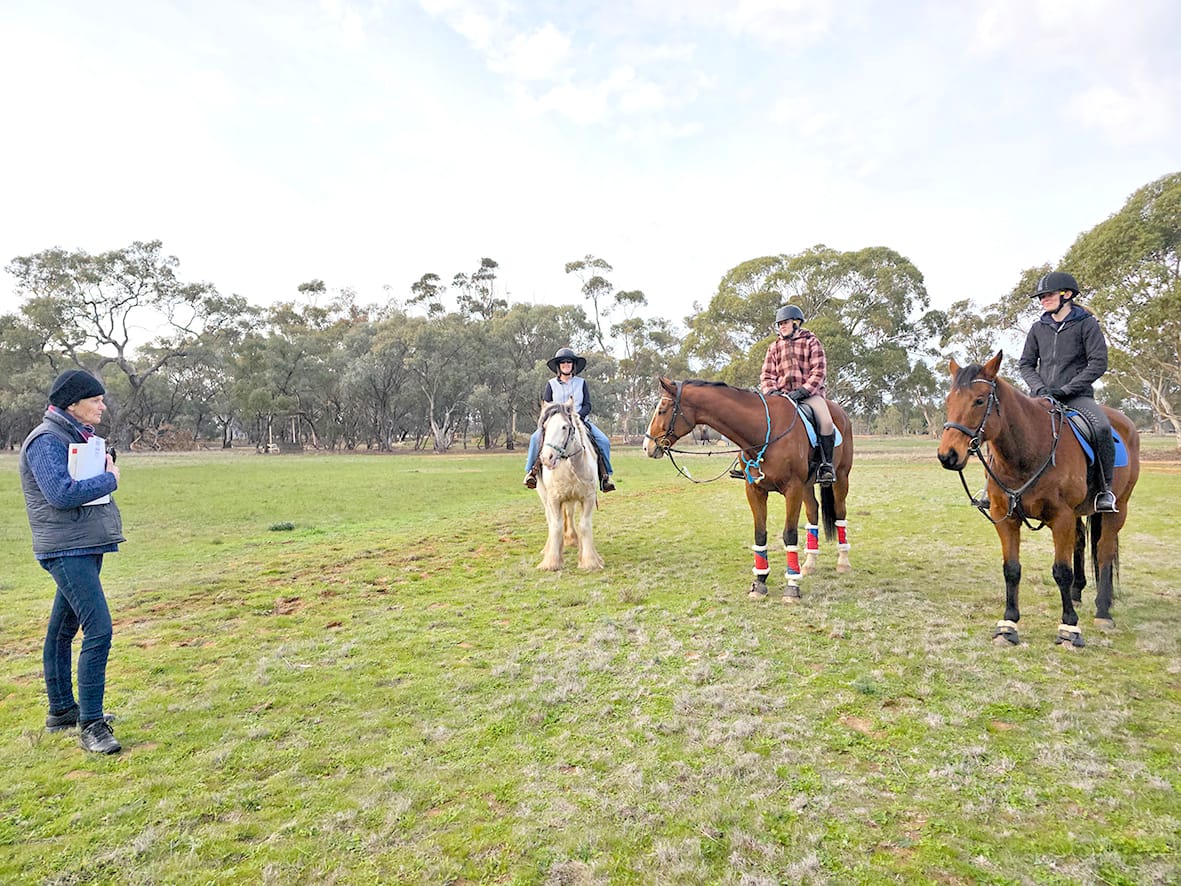 At Charlton, They Came and Tried