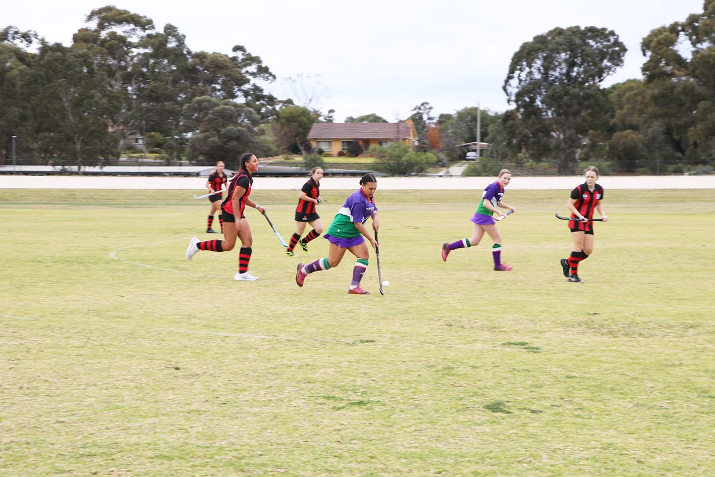 North-Central Hockey