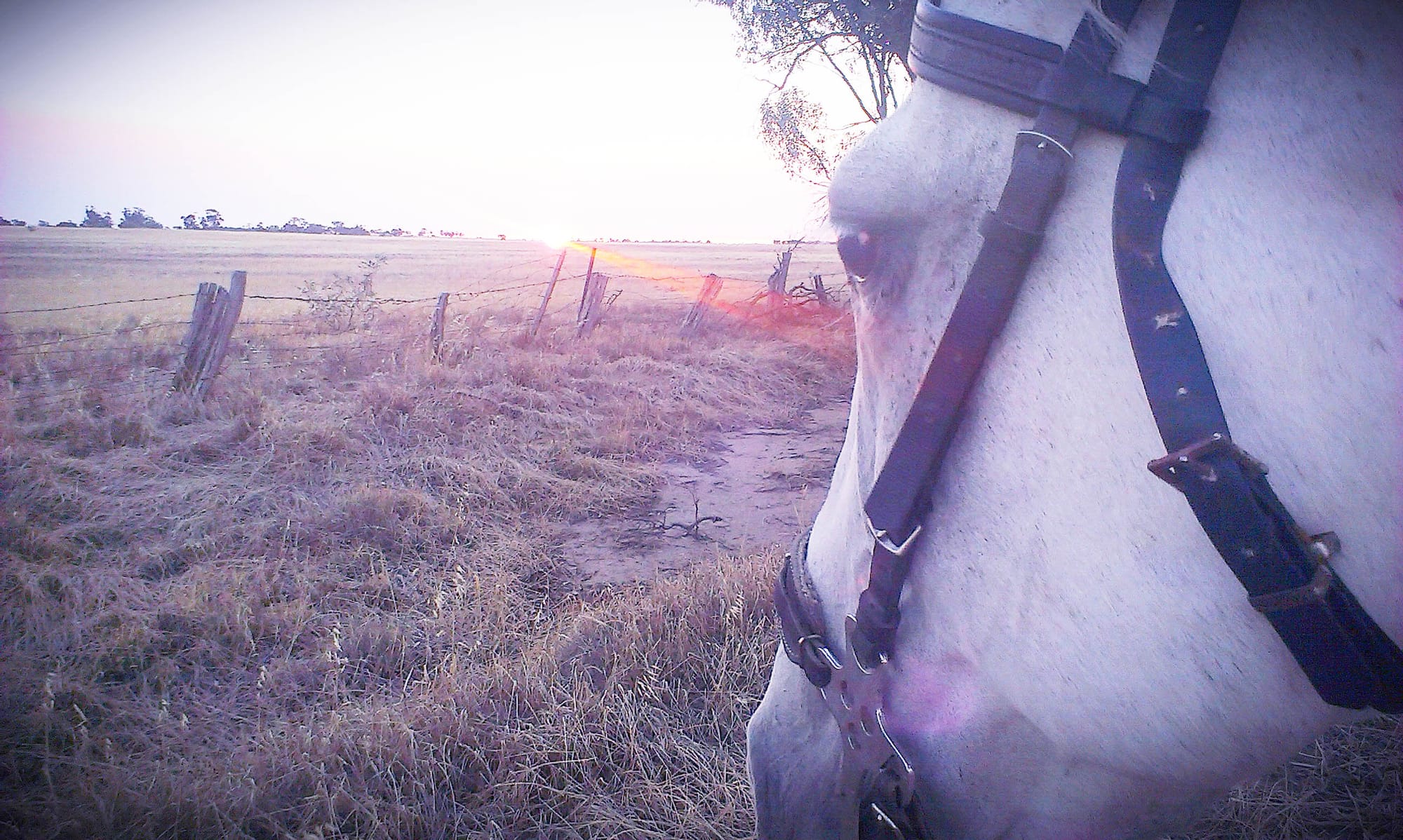 Pandemic Prompts City Exodus