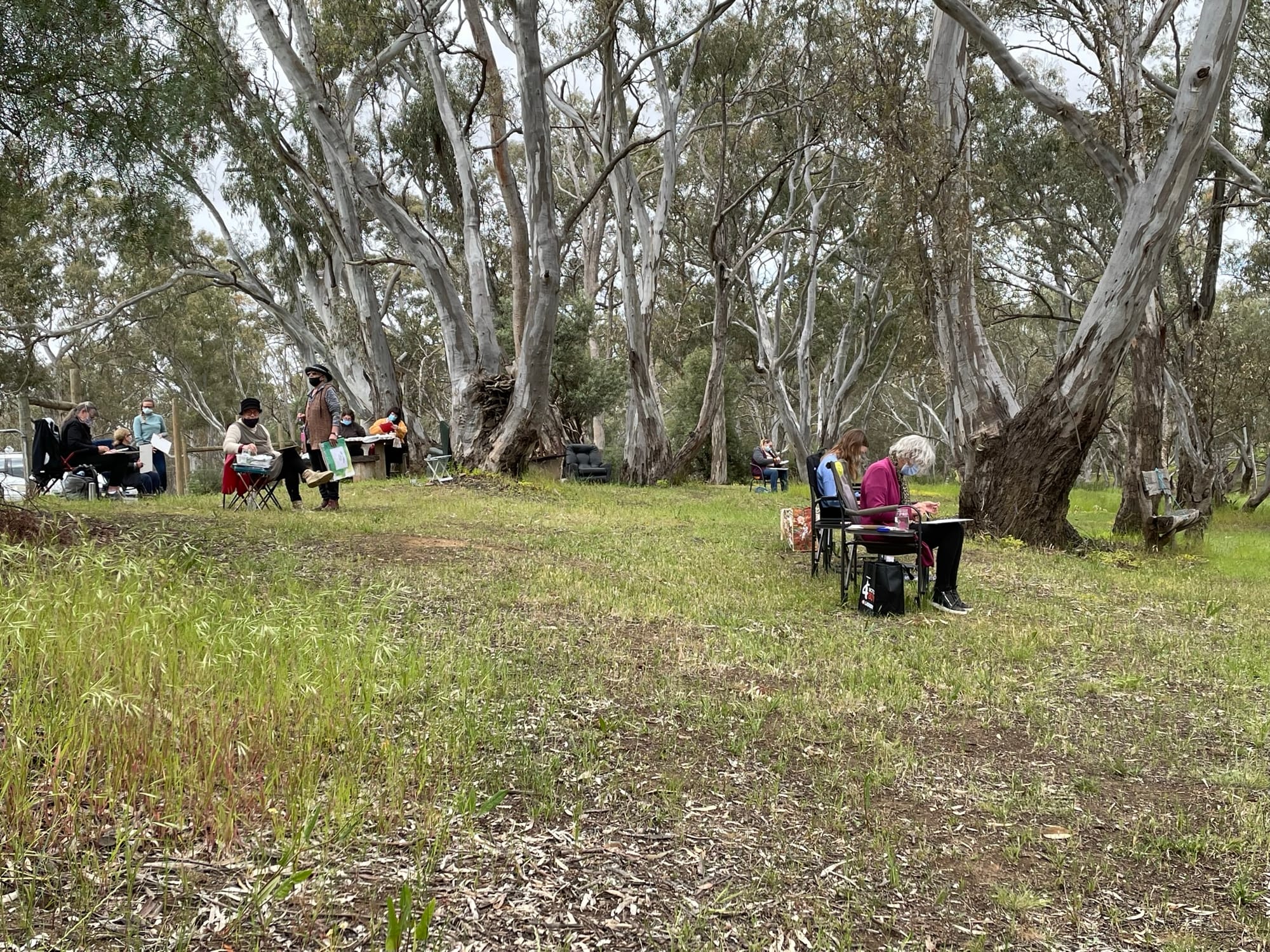 Riverside Watercolour Workshops
