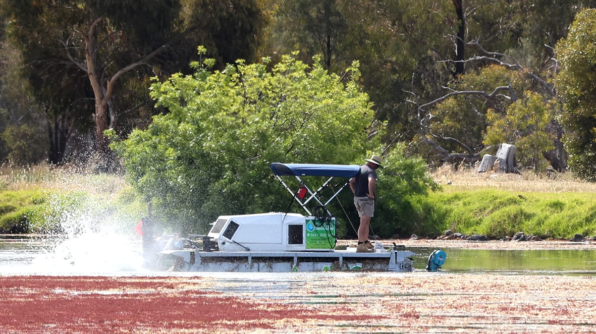 Tchum Lake Aquatic Club: New Leadership