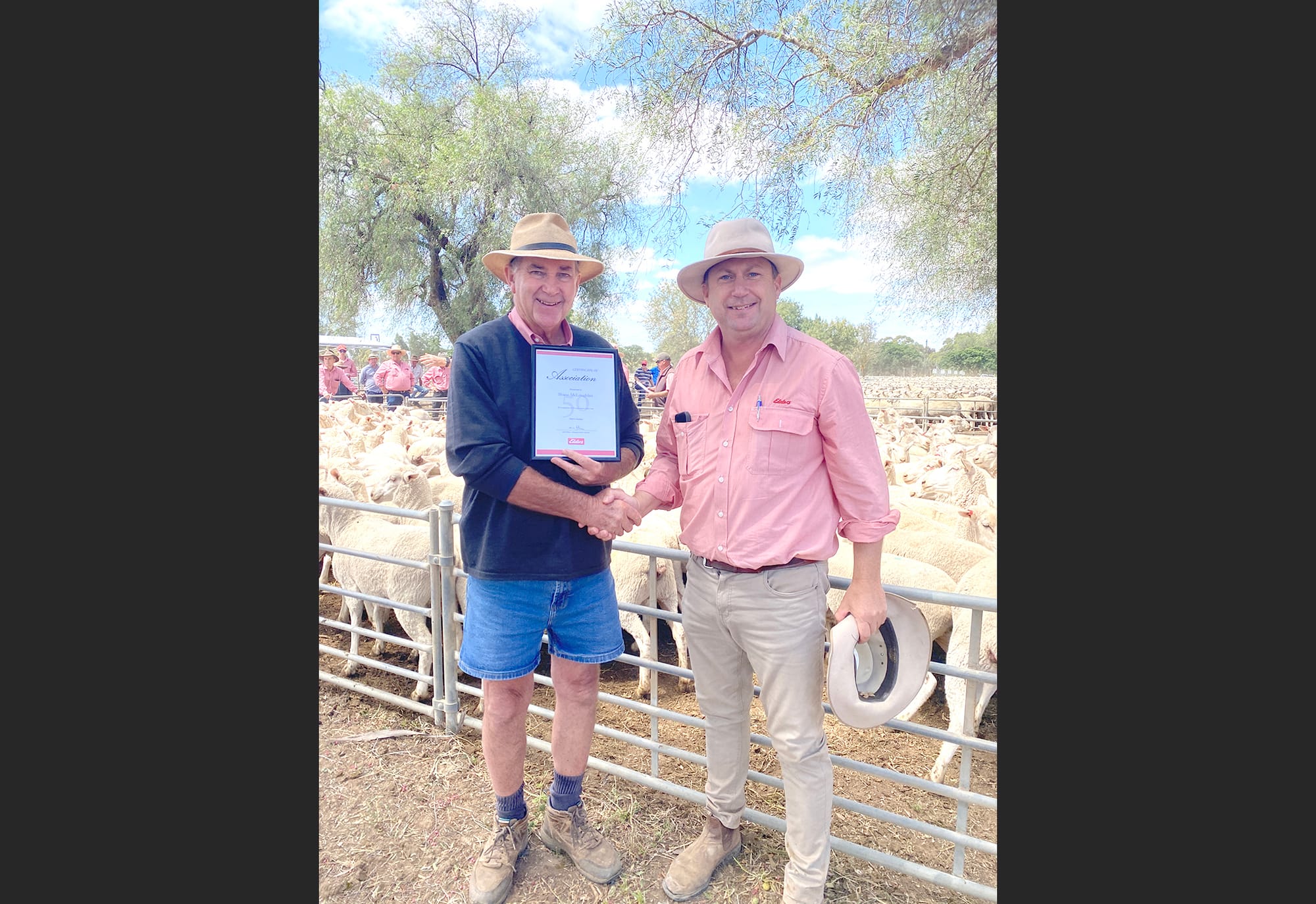 Shane Serves 50 Years with Elders