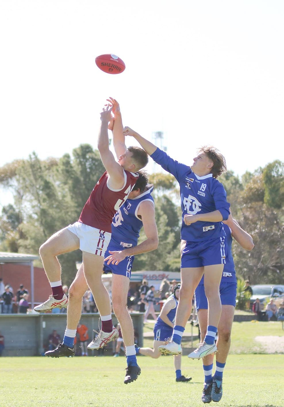 Can Bulls Halt Tigers’ Run?