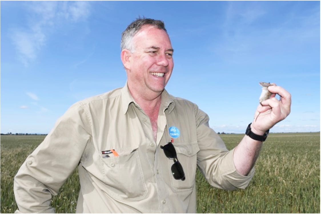 Minimise the Menu for Mice