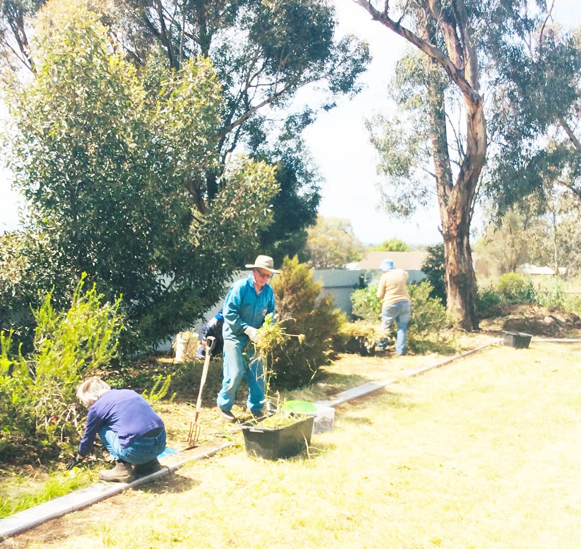 Lions’ Monster Weed-a-thon