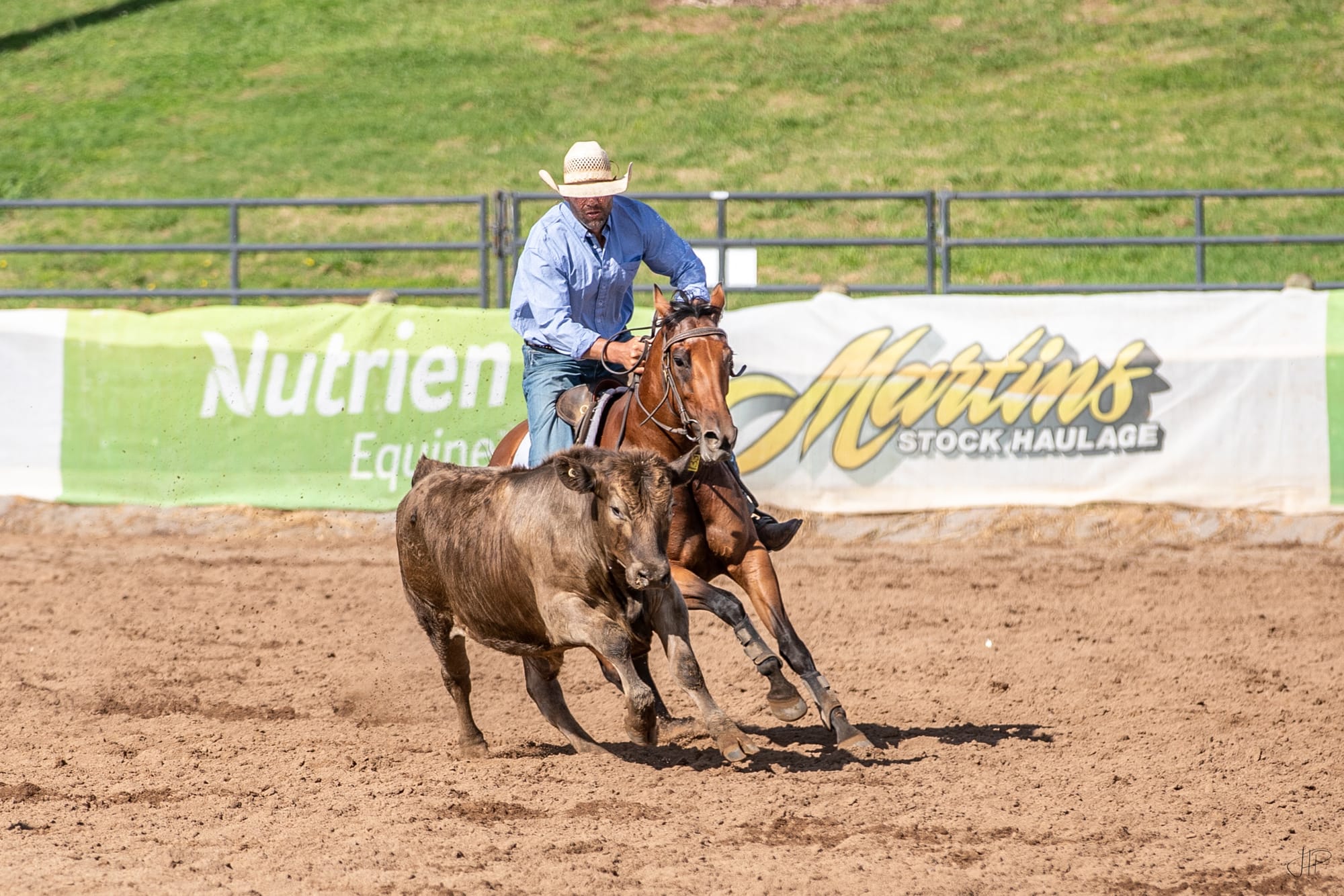 Charlton Primed for Campdrafting