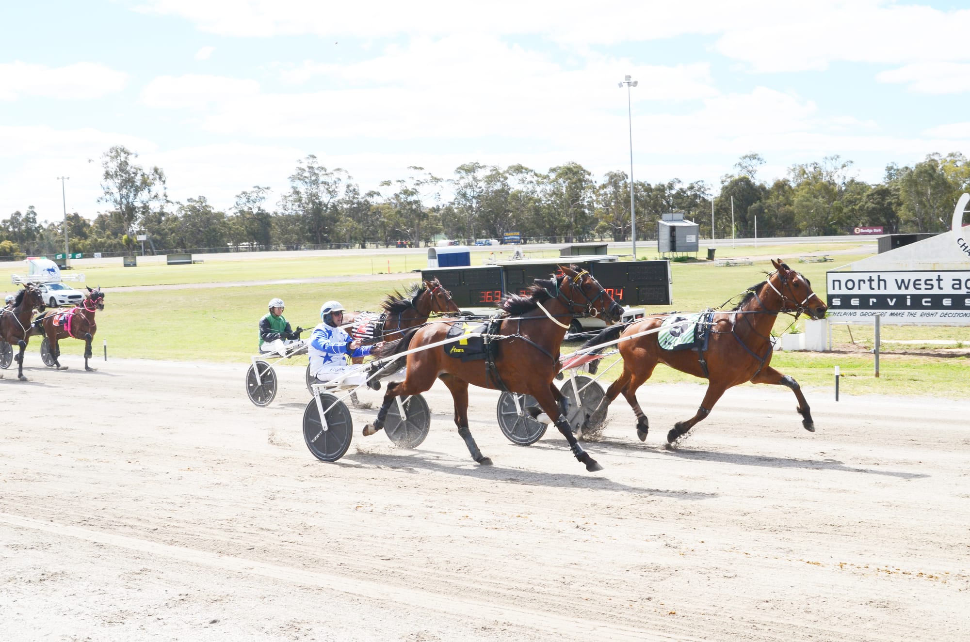 Sensational Finish at Charlton Trots