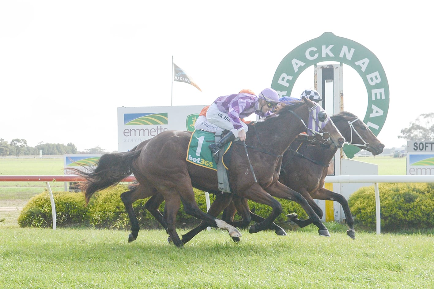 Donald Races at Warracknabeal