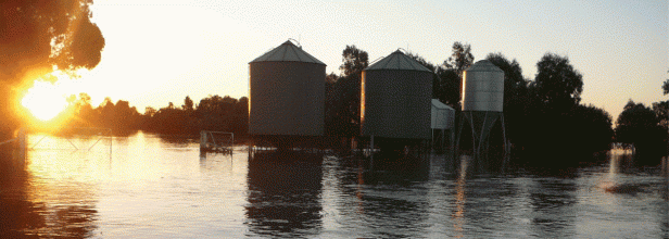 Financial Support for Flood-Affected Farmers