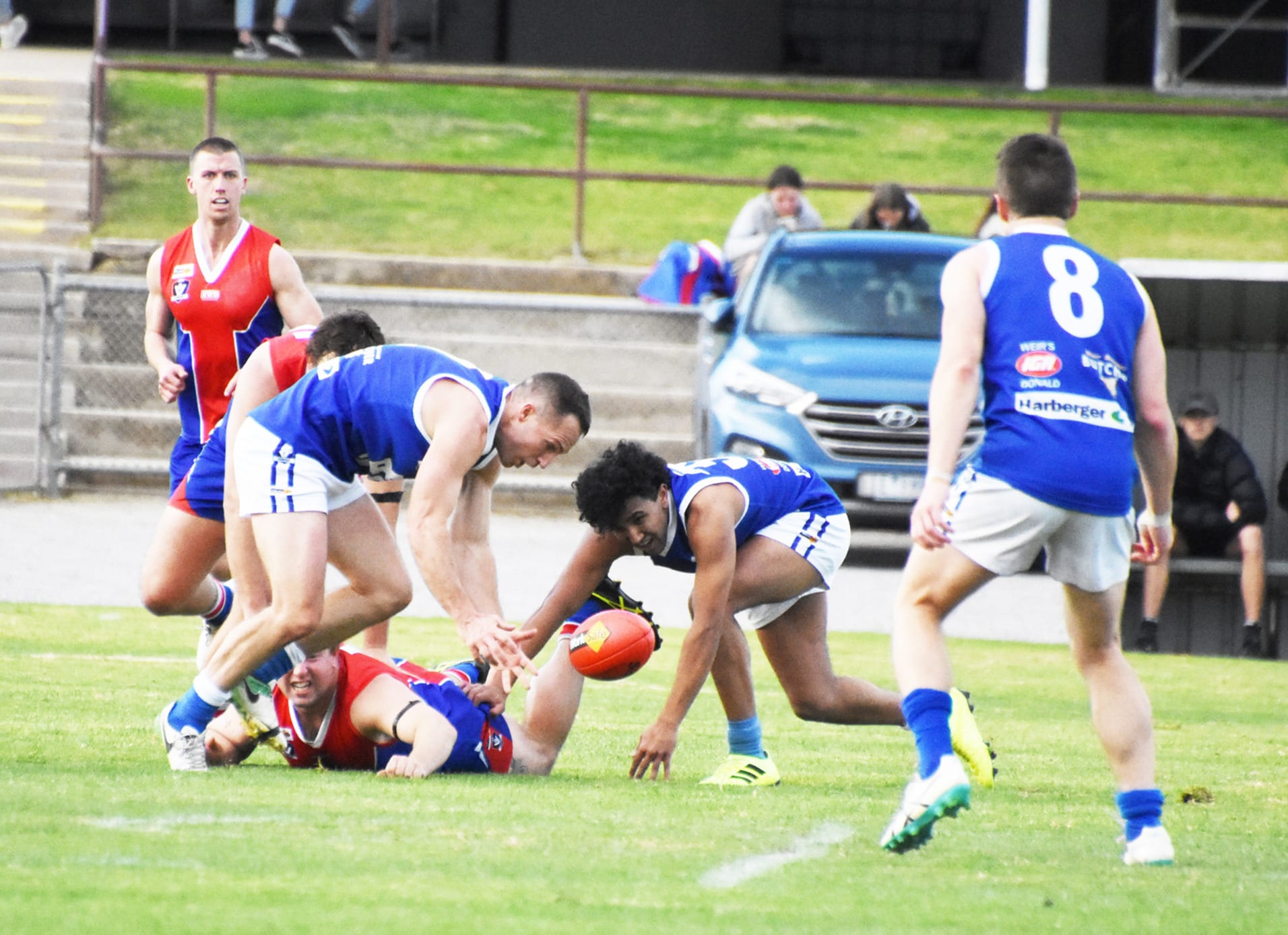 Friendly Foes Share the Spoils