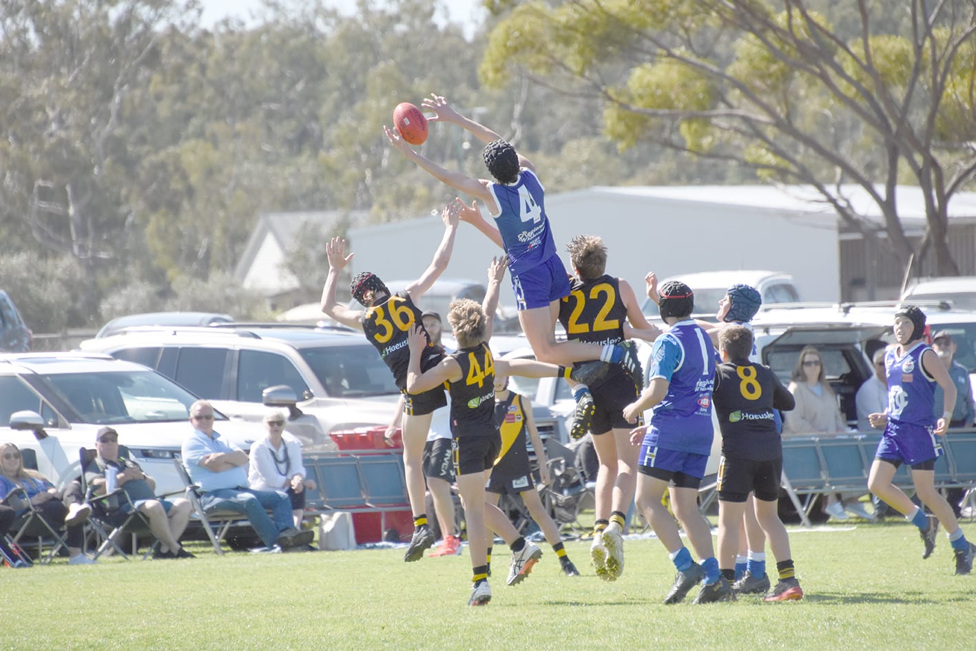 Tiger Cubs Victorious