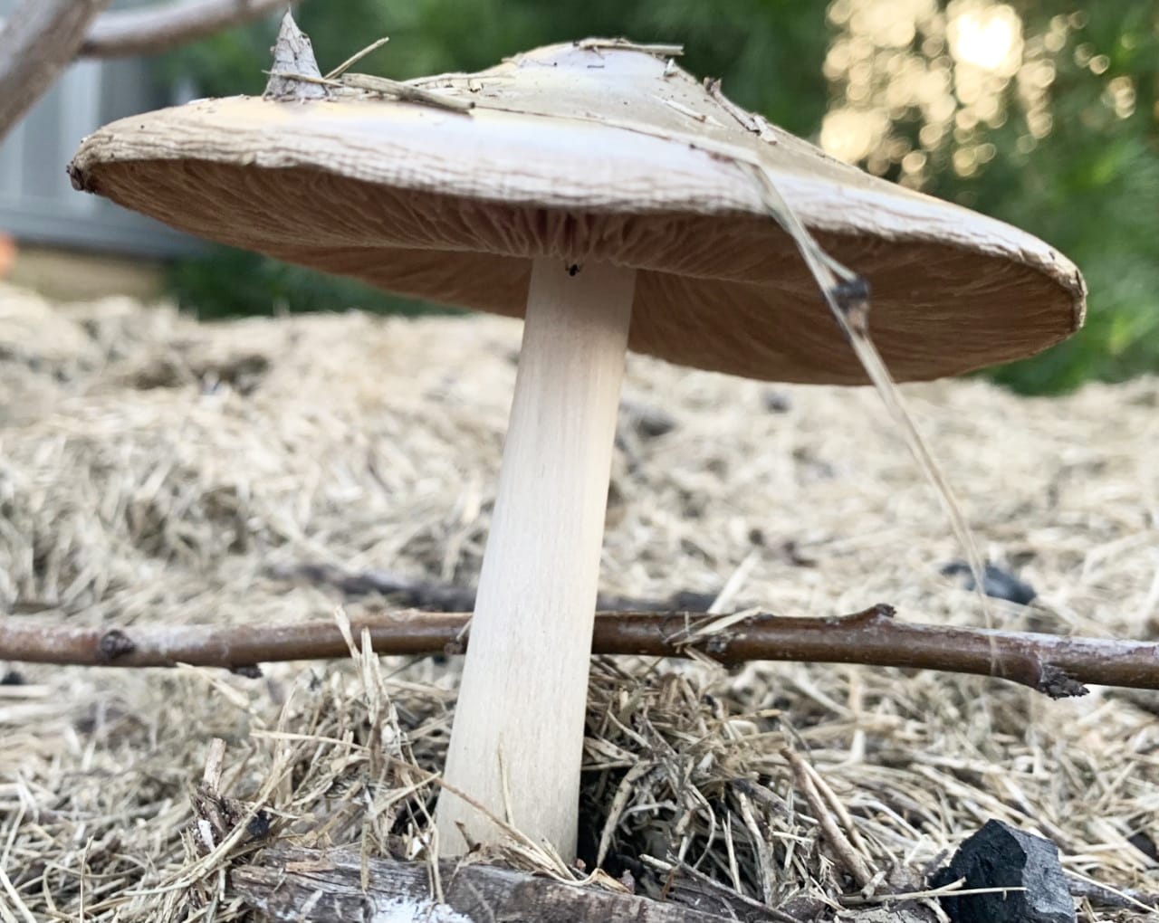 It’s Community Calendar Time