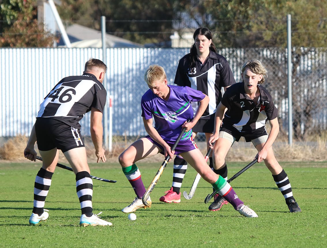 Bulls and Magpies Share Hockey Wins