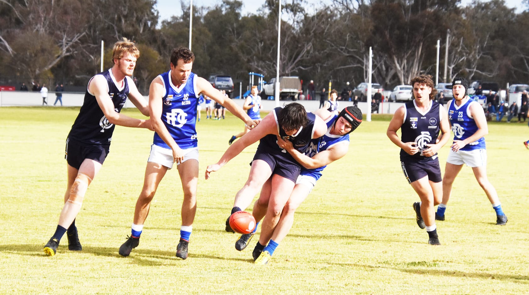 Donald Triumphs in Blues Battle