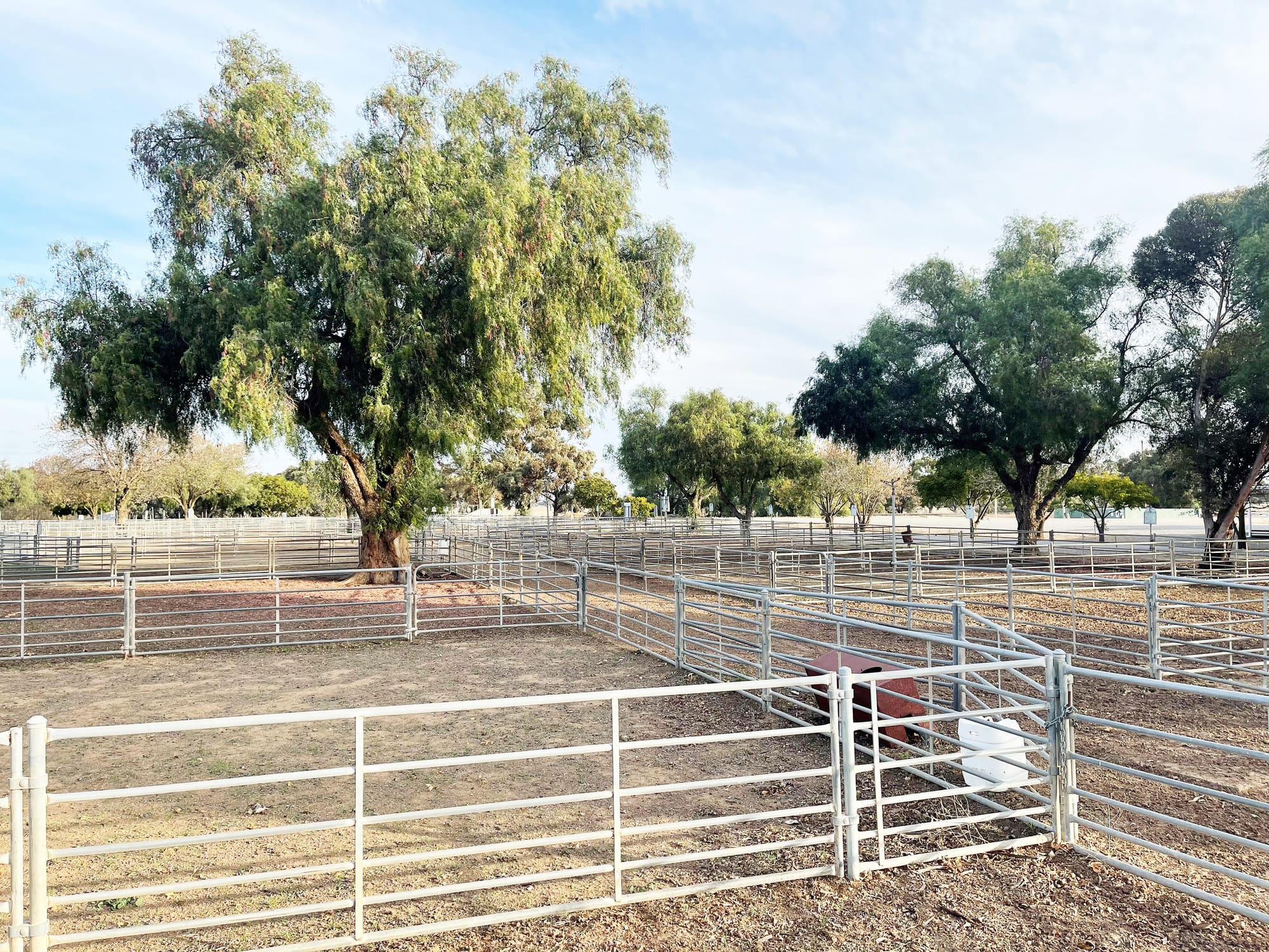 Wycheproof Saleyards Funding Announced