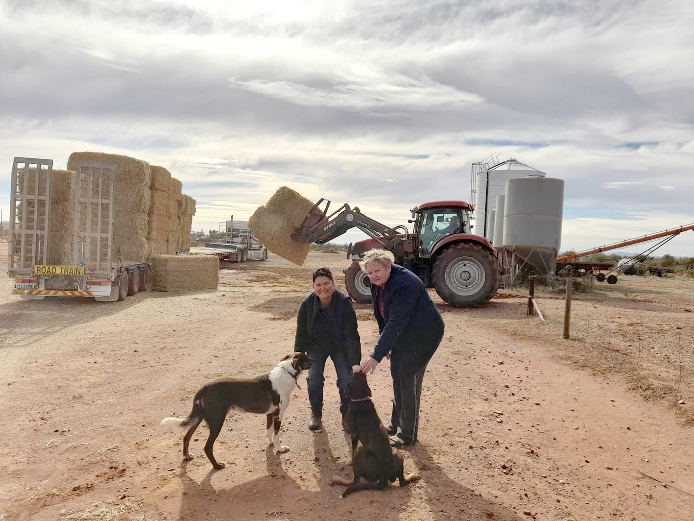 Demand for Fodder Still High Despite Rain