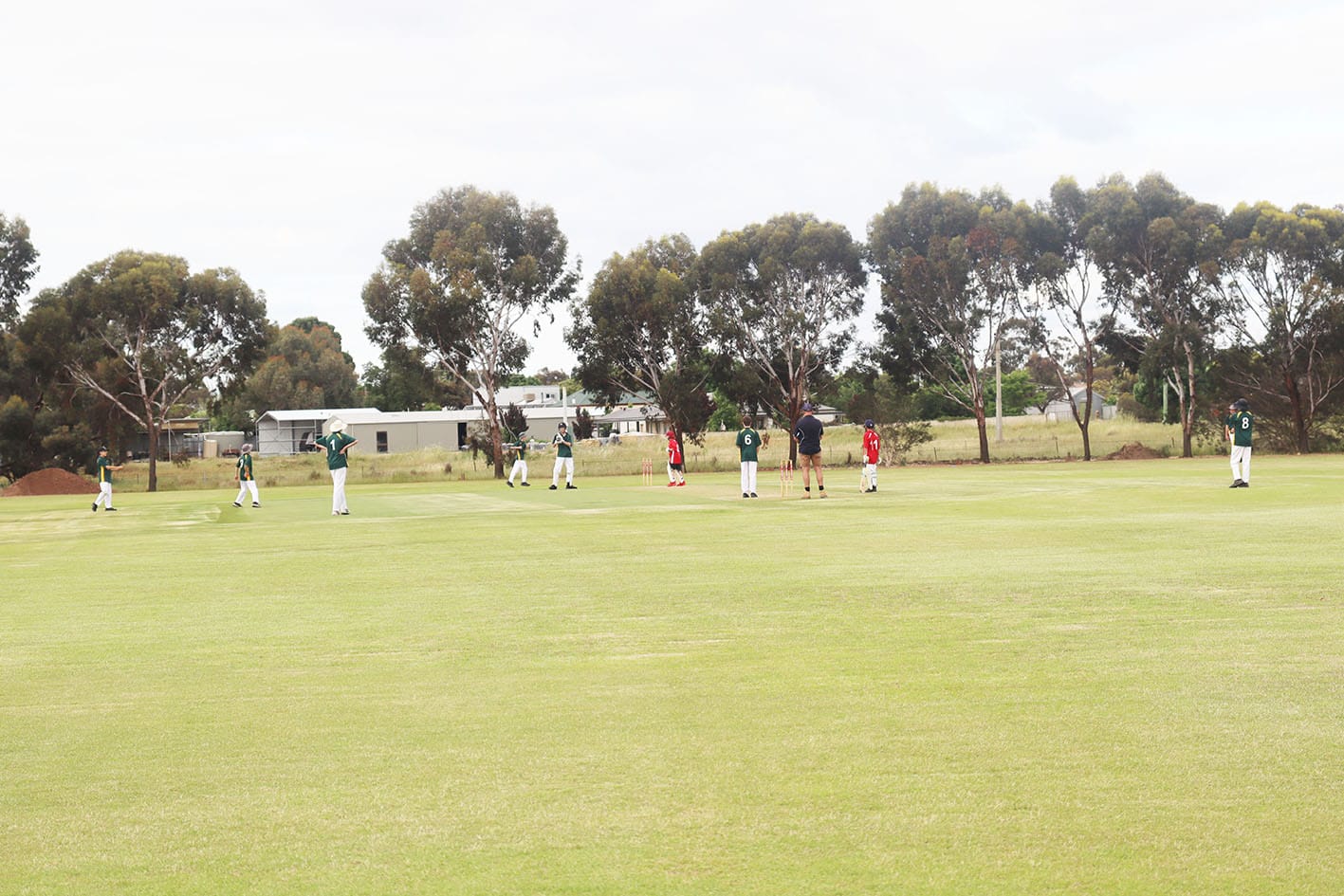Donald Junior Cricket Competition Hits Off