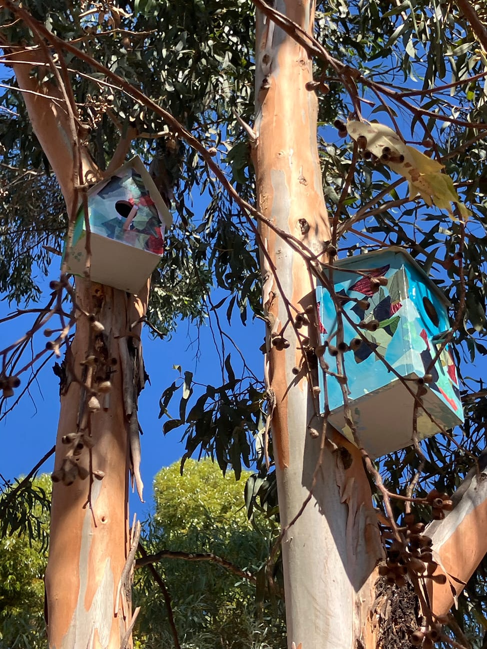 Biodiversity Trail Final Installations Complete