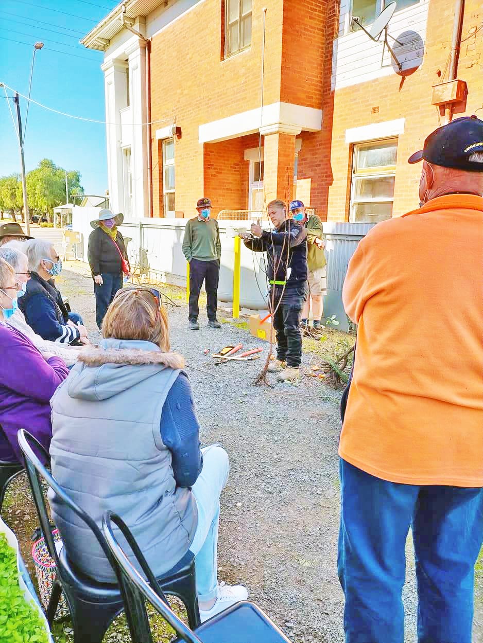 Wycheproof Hosts Fruit Fly Workshop