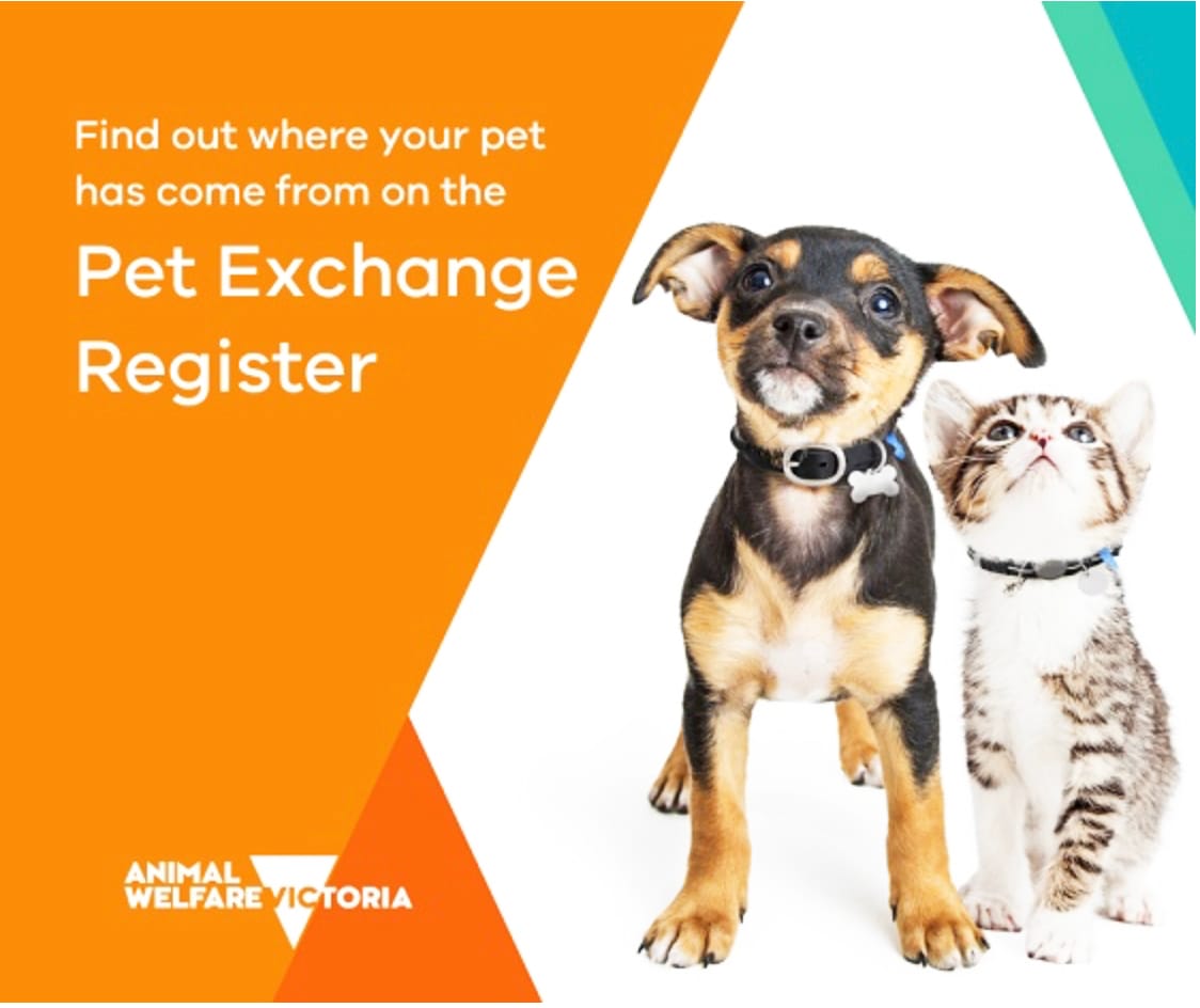 New Technology for Pet Register