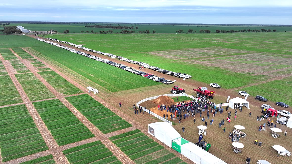 Five Hundred at BCG’s Main Field Day: “Farming is the Art of the Possible”
