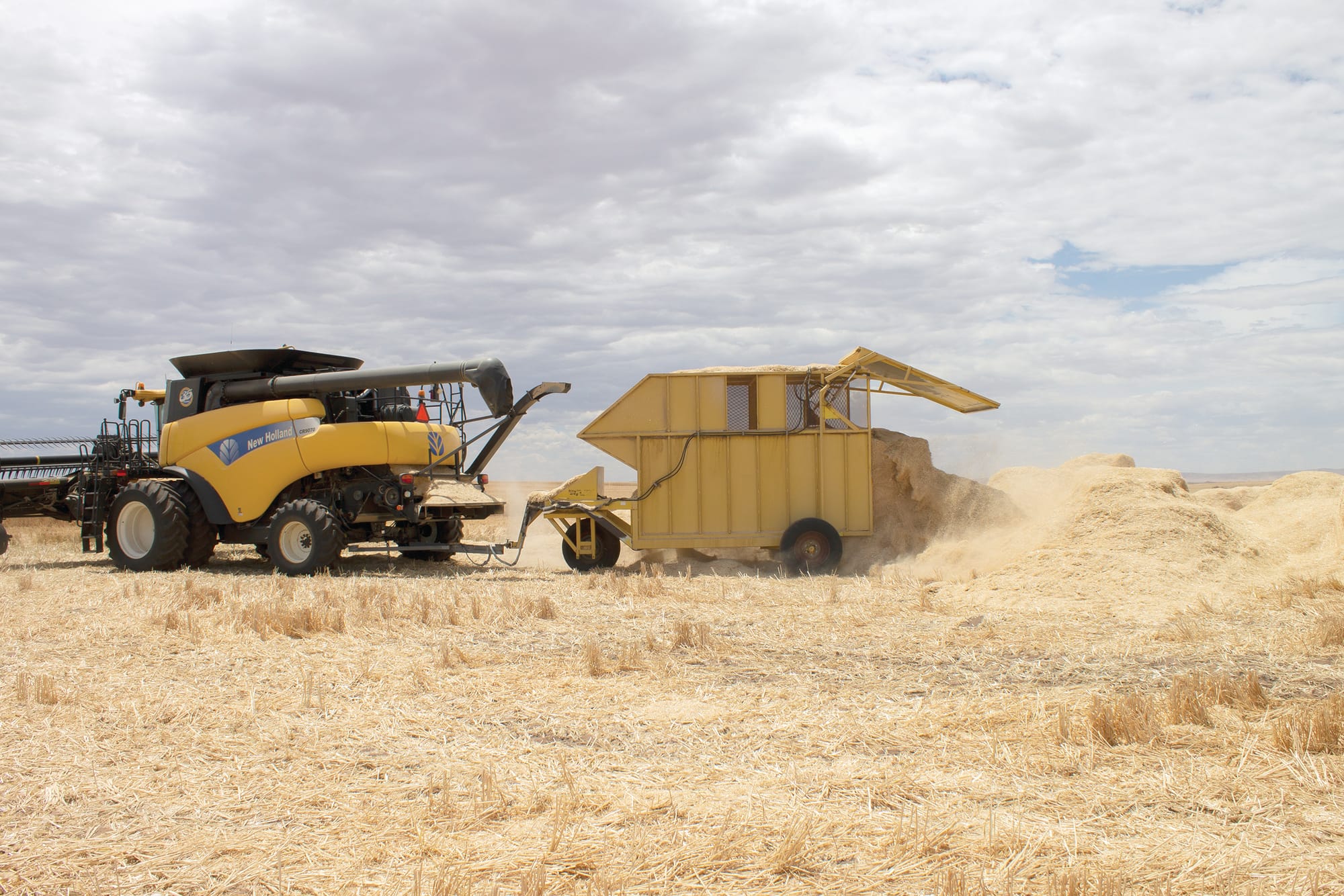 Australian grain growers tackle herbicide resistance