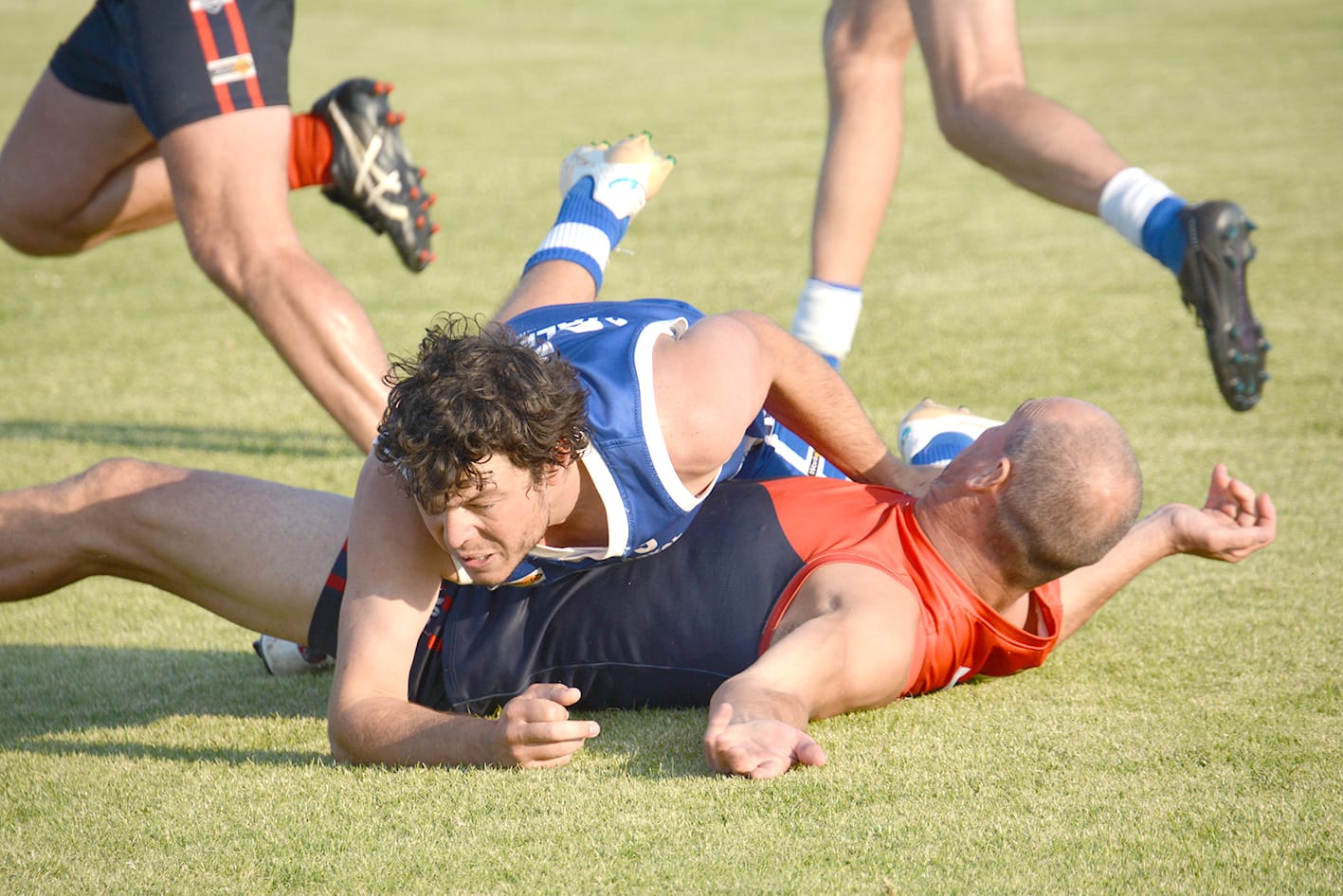 Donald Downs Determined Demons