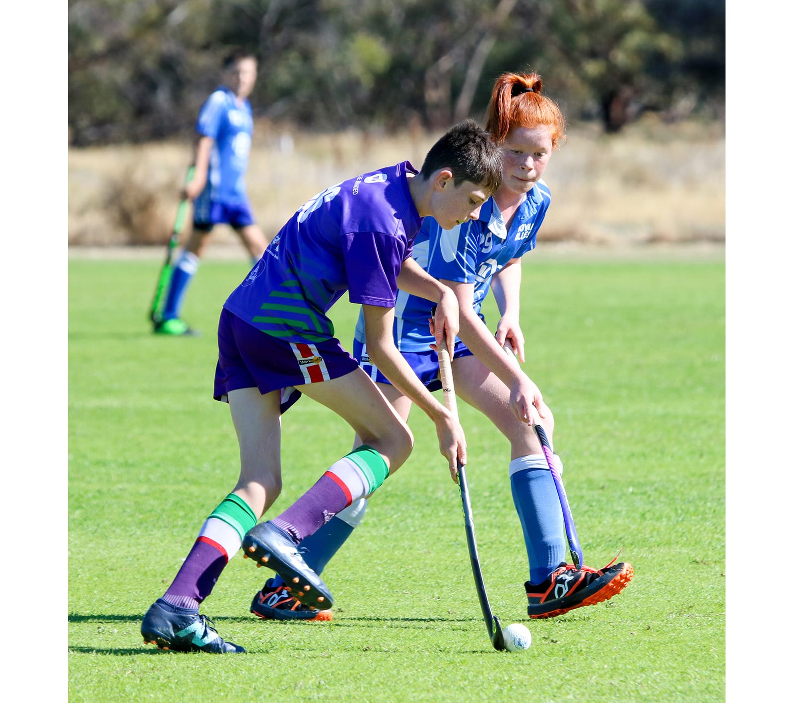 Bulls Host Donald Hockey Teams