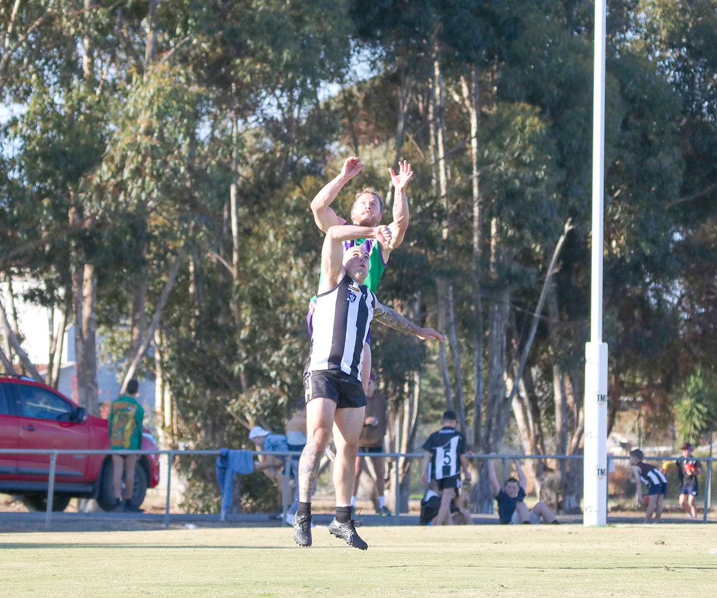 Bulls Surge Over Magpies, with Rippon Masterclass