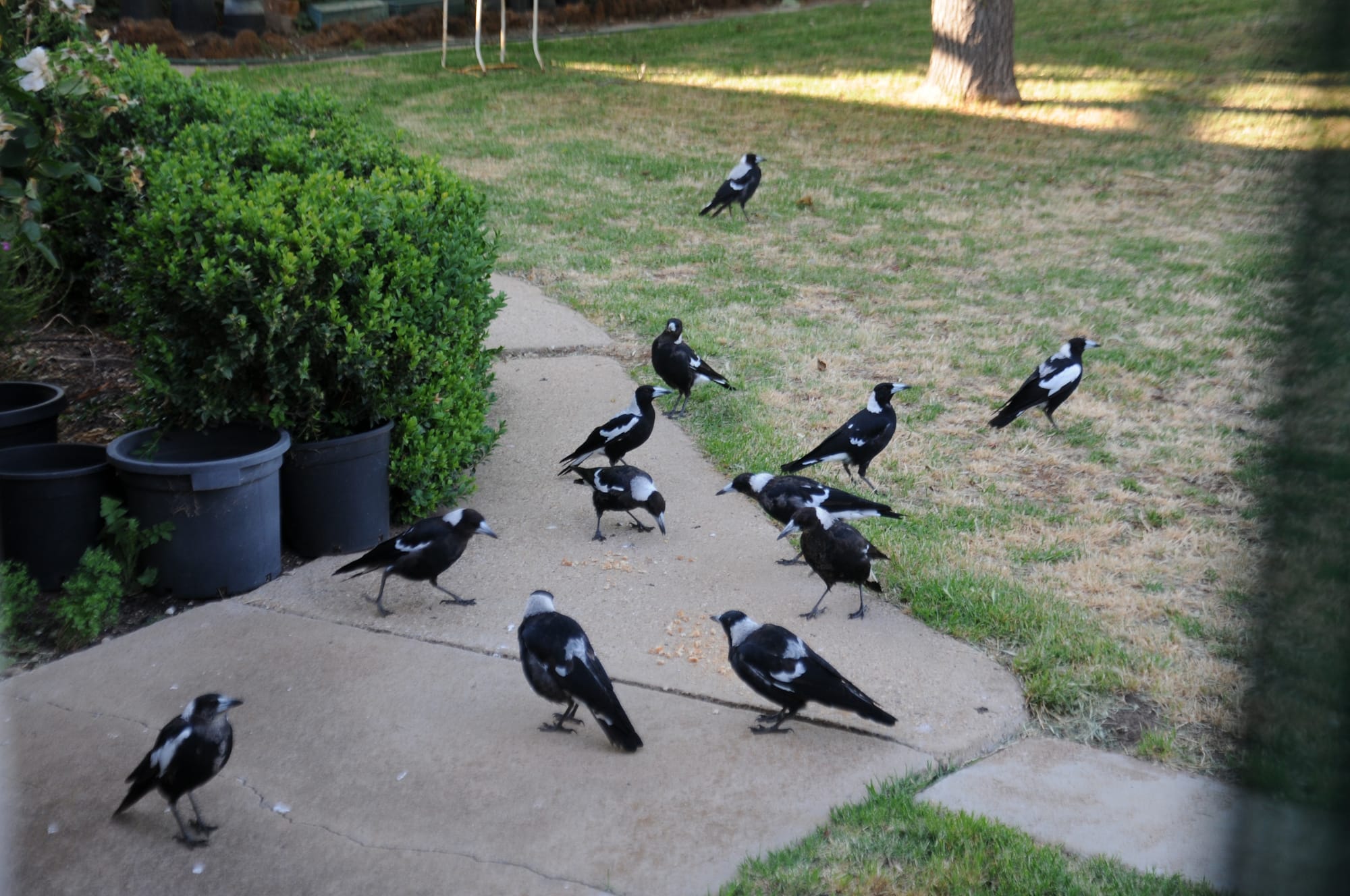 Friday, November 20, 2020