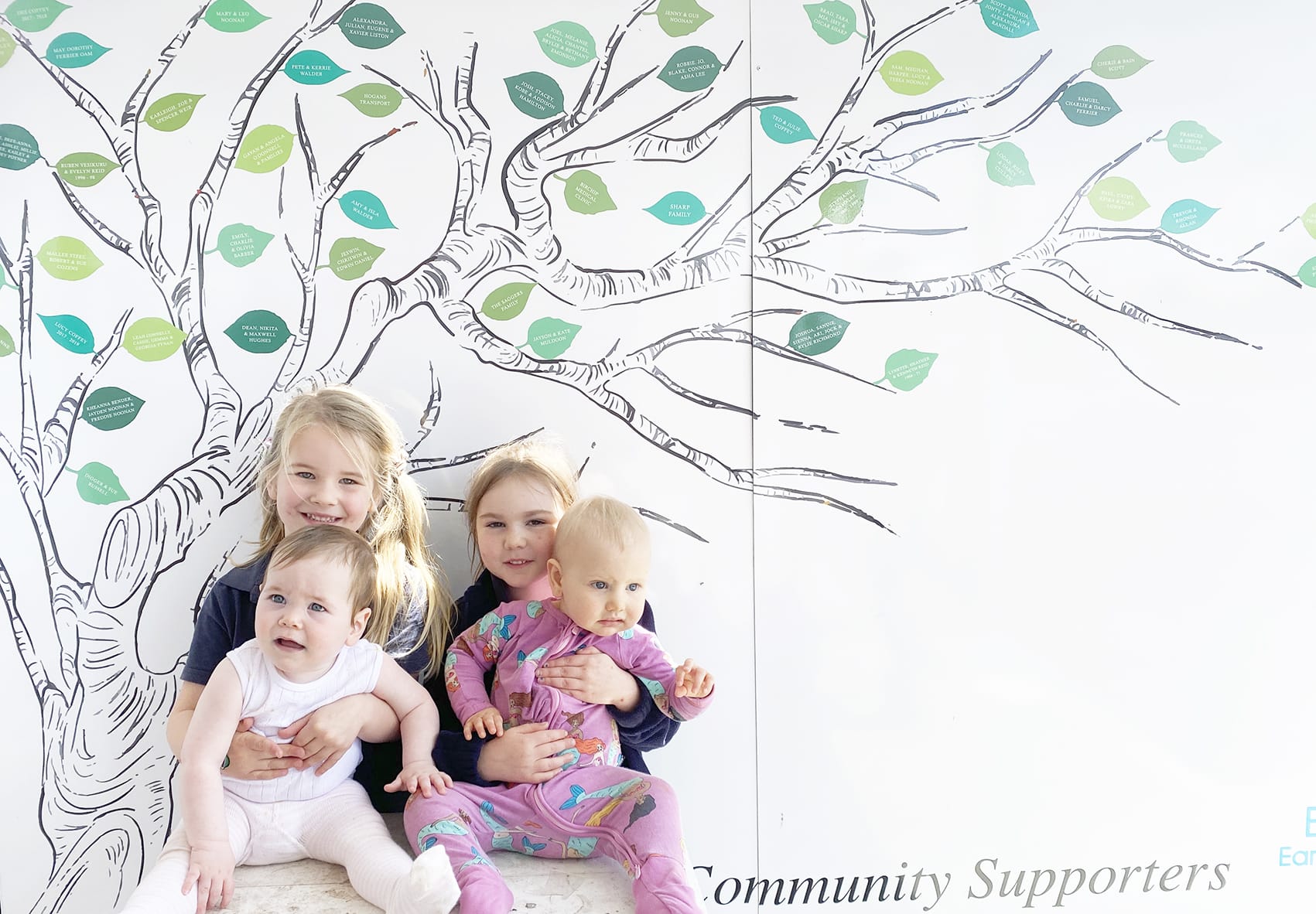 Growing More Tree Leaves