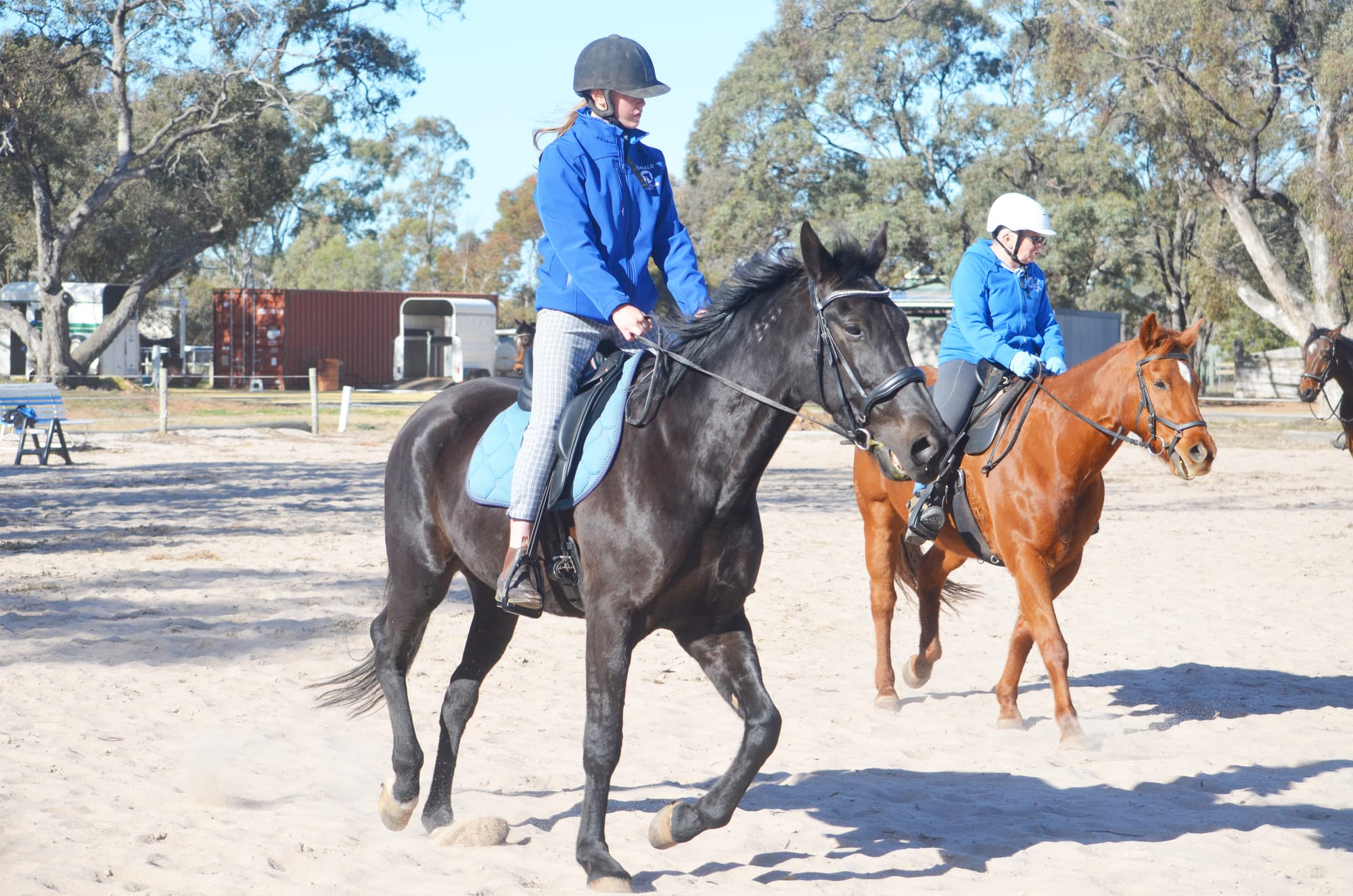 Equestrian Clinic