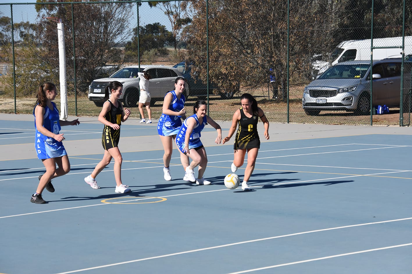 Tigers and Royal Blues Share Netball Honours