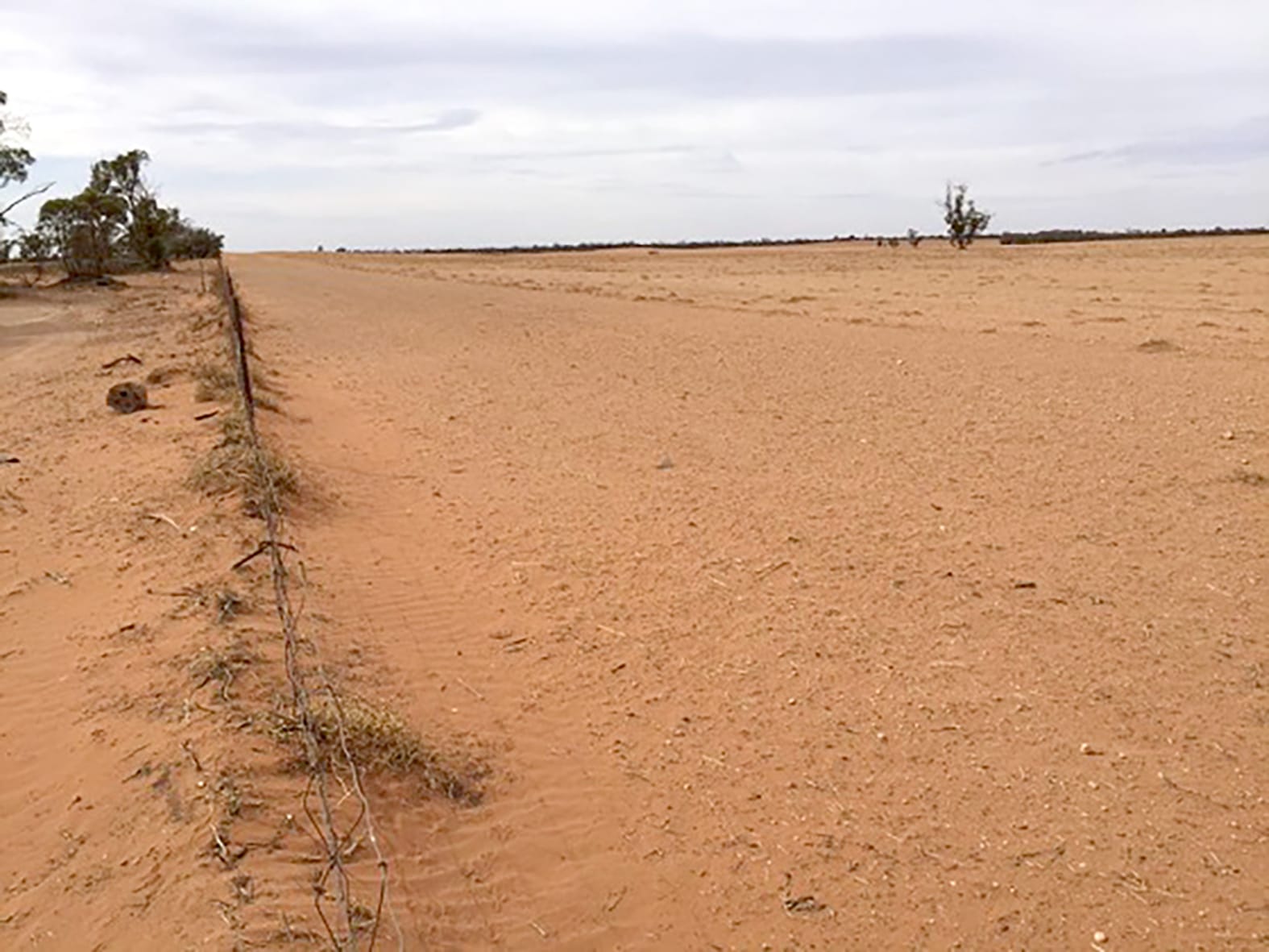 Monitoring Wind Erosion in the Victorian Mallee Webinar
