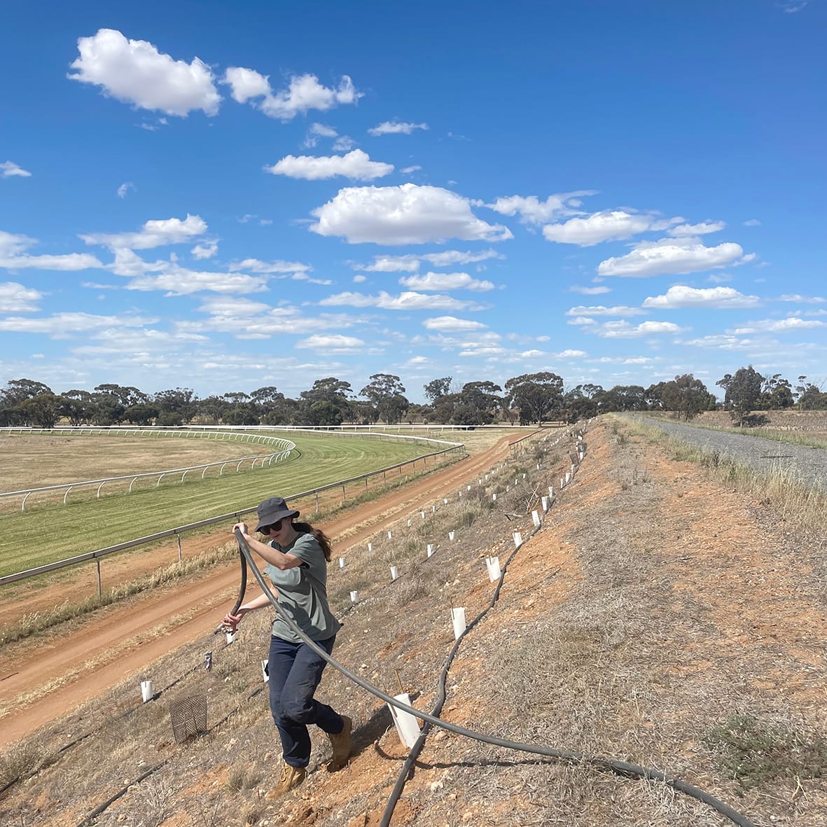 Wyche Landcare Group Gets the Job Done