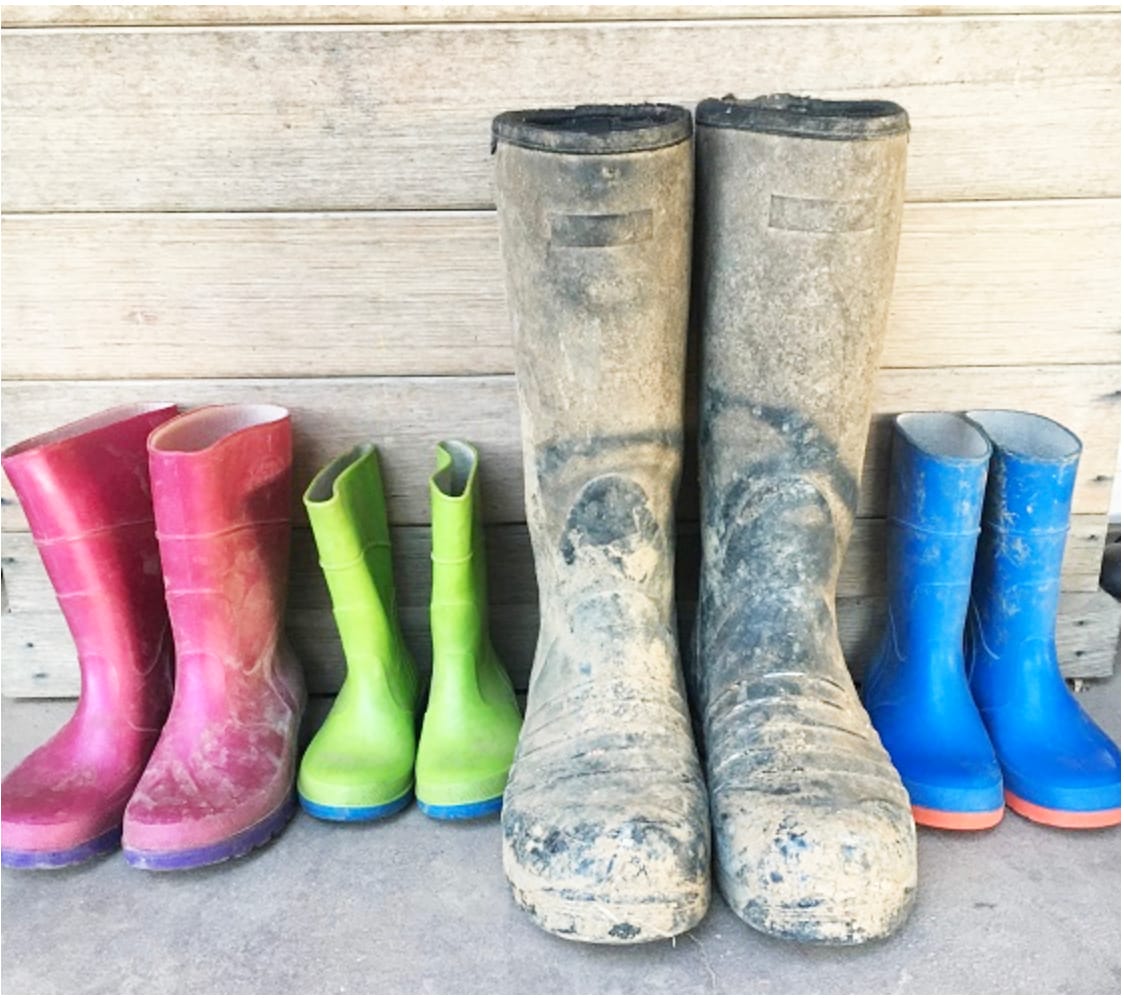 A Move to Increase Safety on the Farm