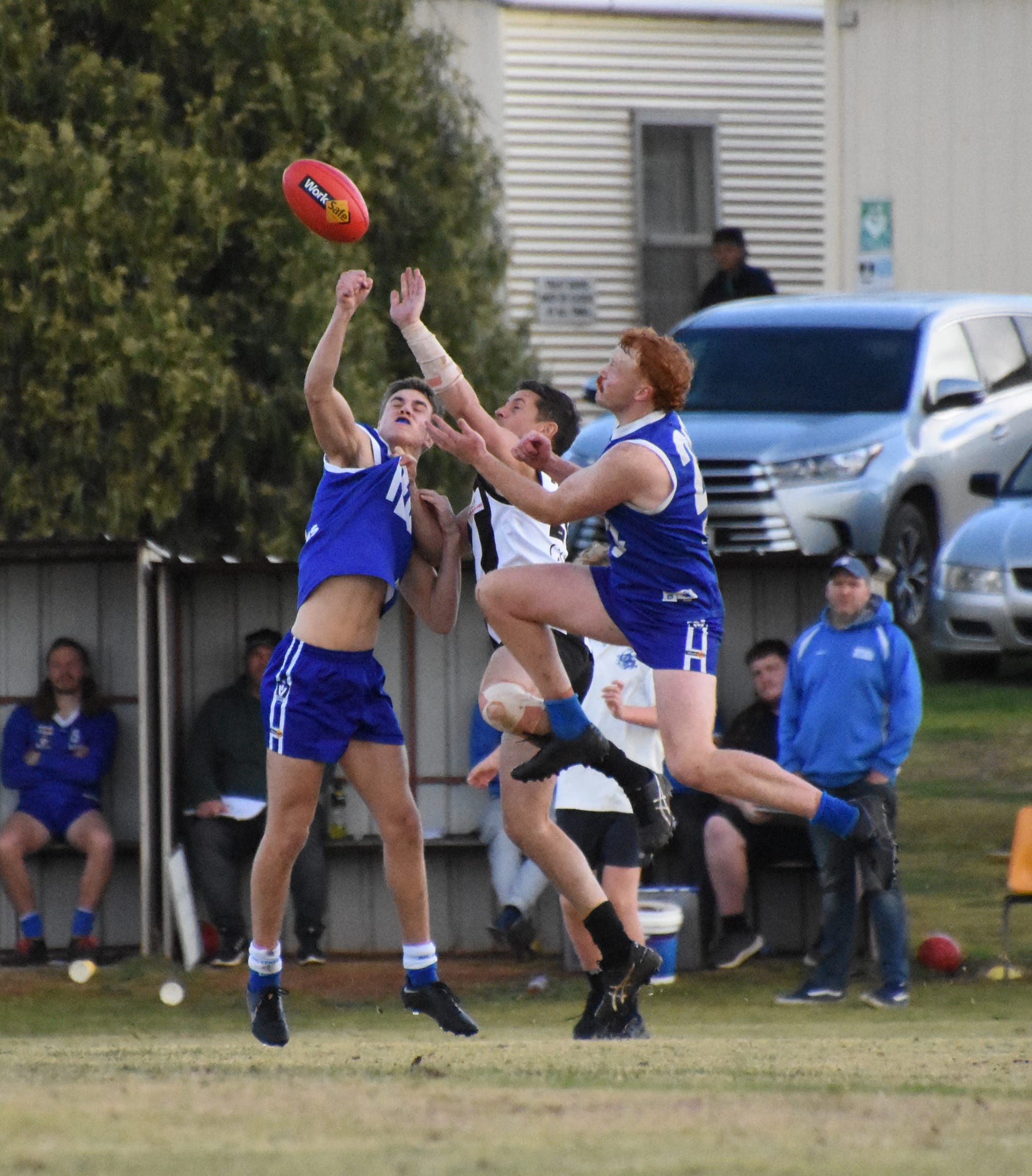 Donald Secures Double Chance