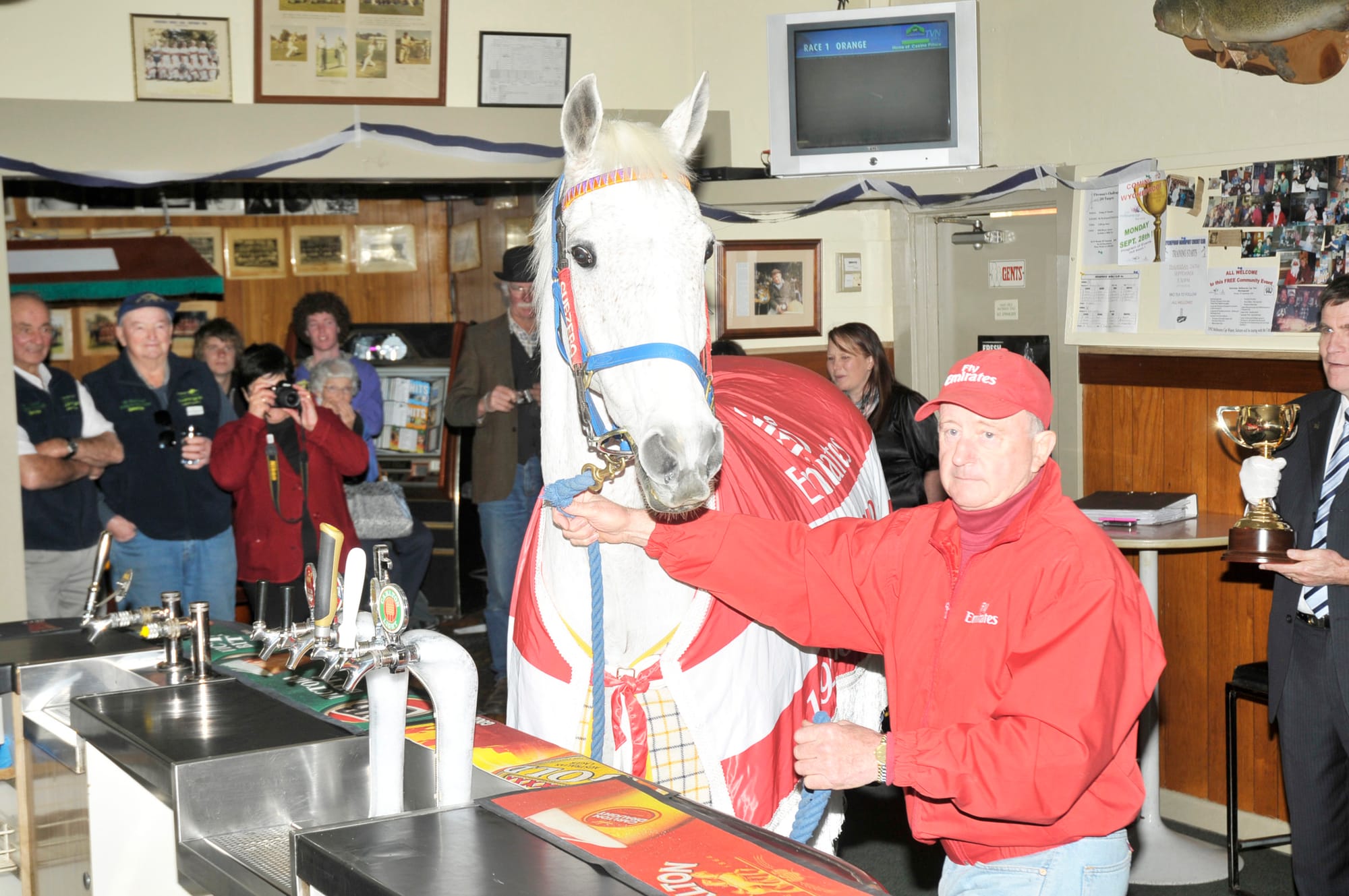 “A Horse Walks Into a Bar . . .”