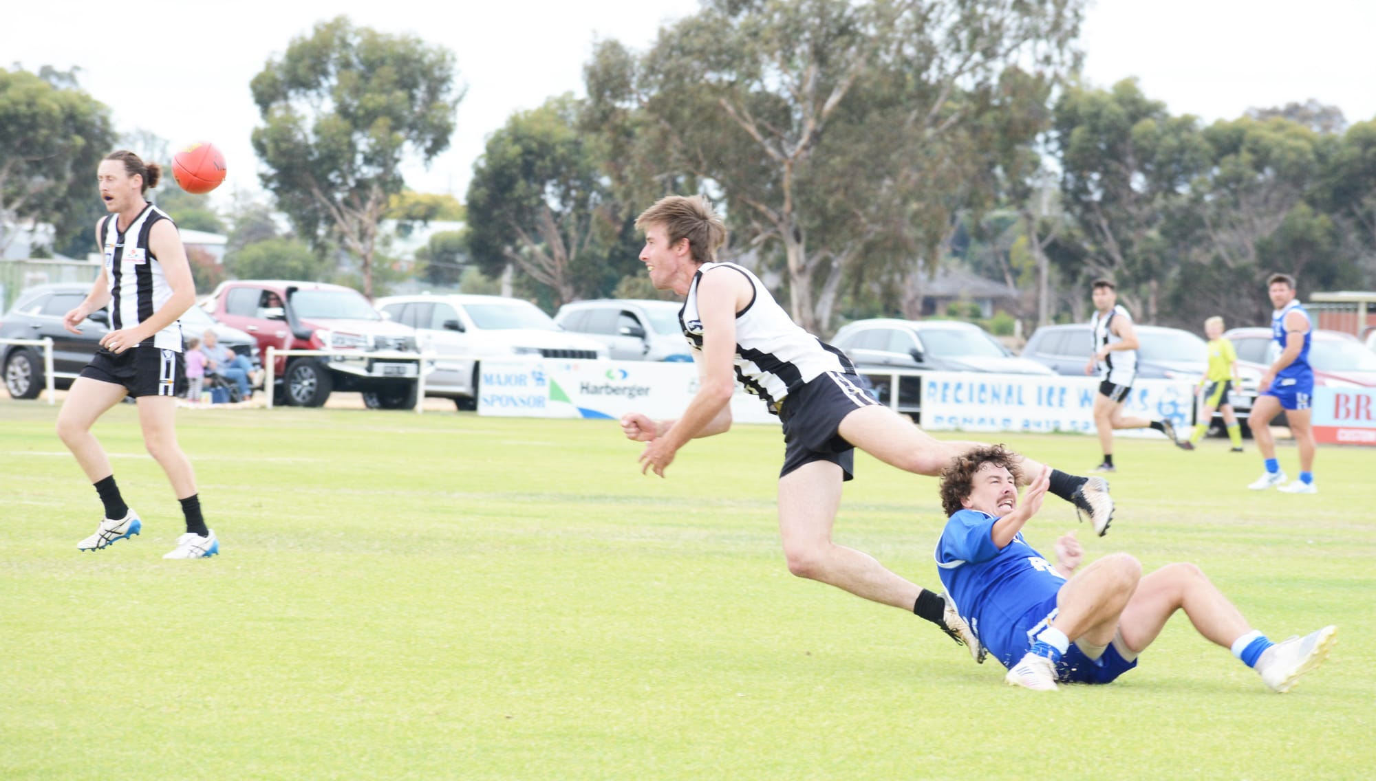 Bulls Mount Their Challenge