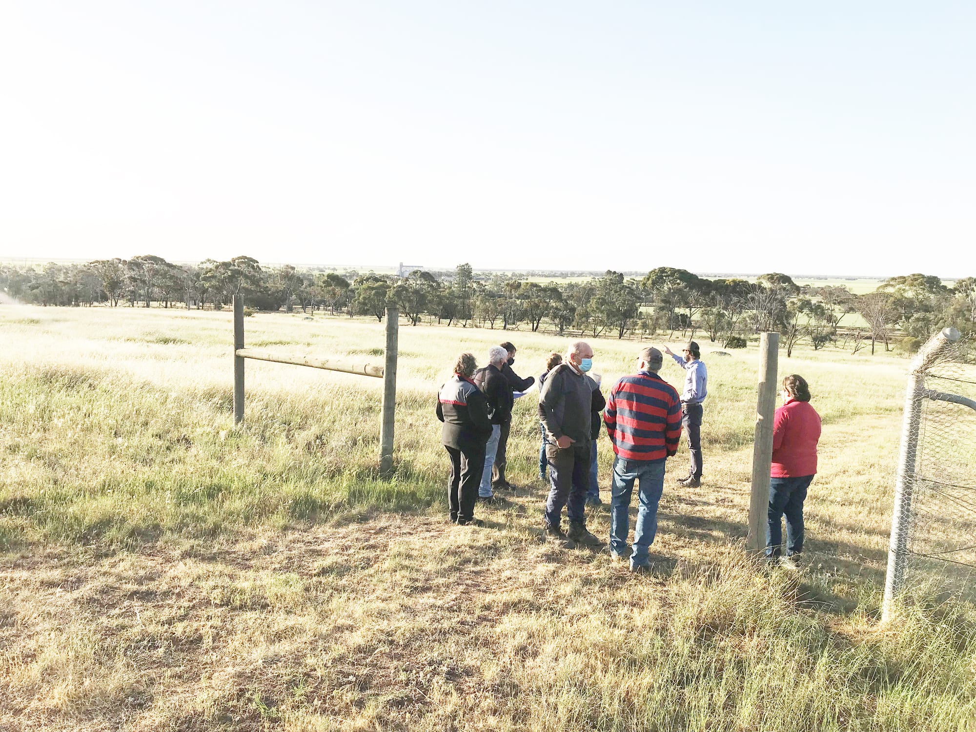 Mount Wycheproof Path Proposal