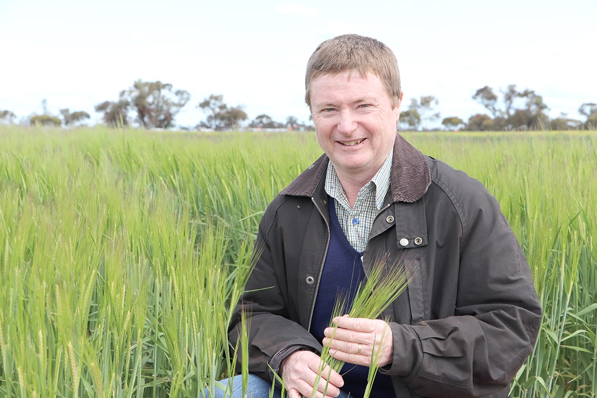 BCG’s Trials Review Day: Proactive Decision Making to Safeguard Crop Health