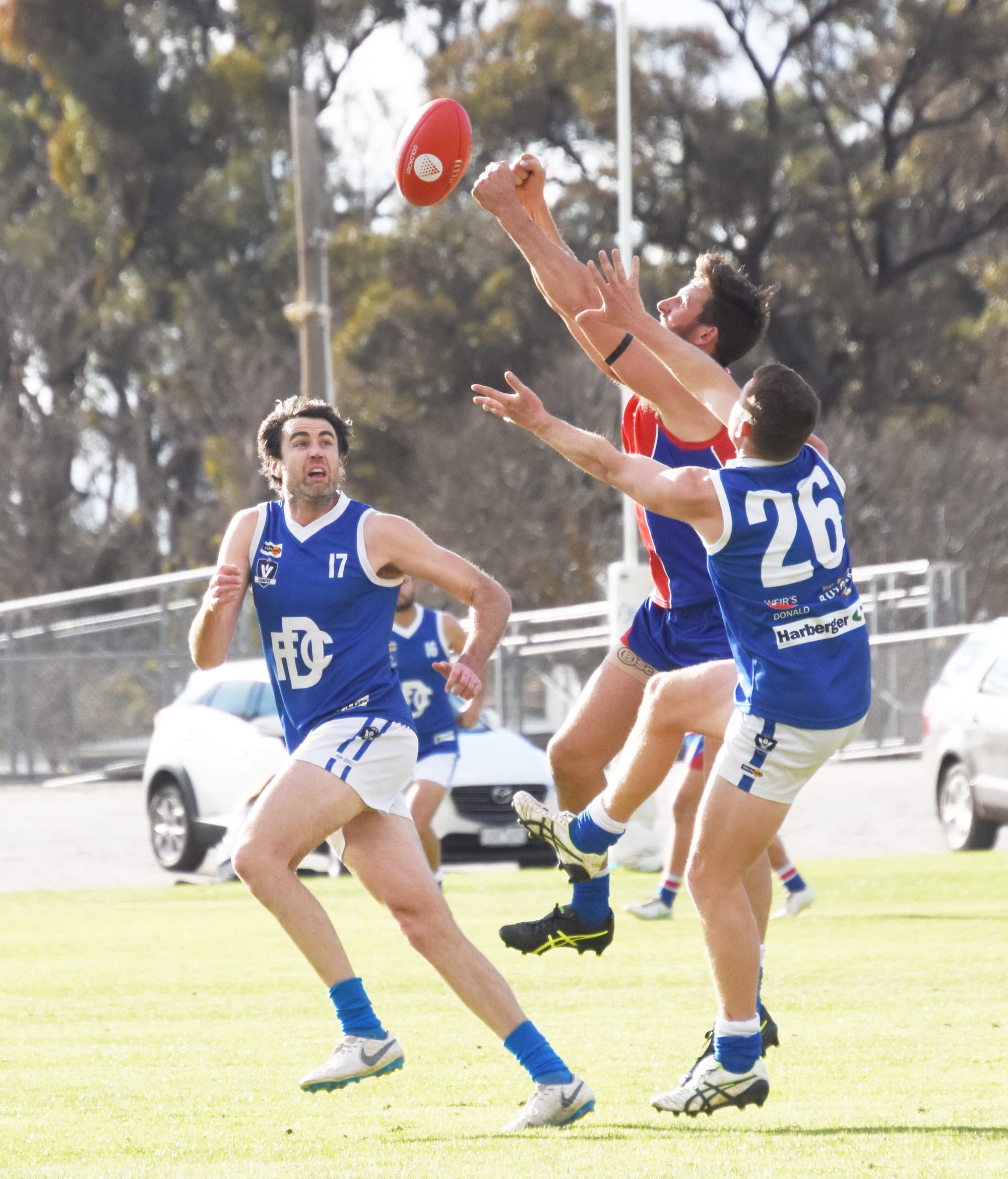 It’s Official: We Have a Season