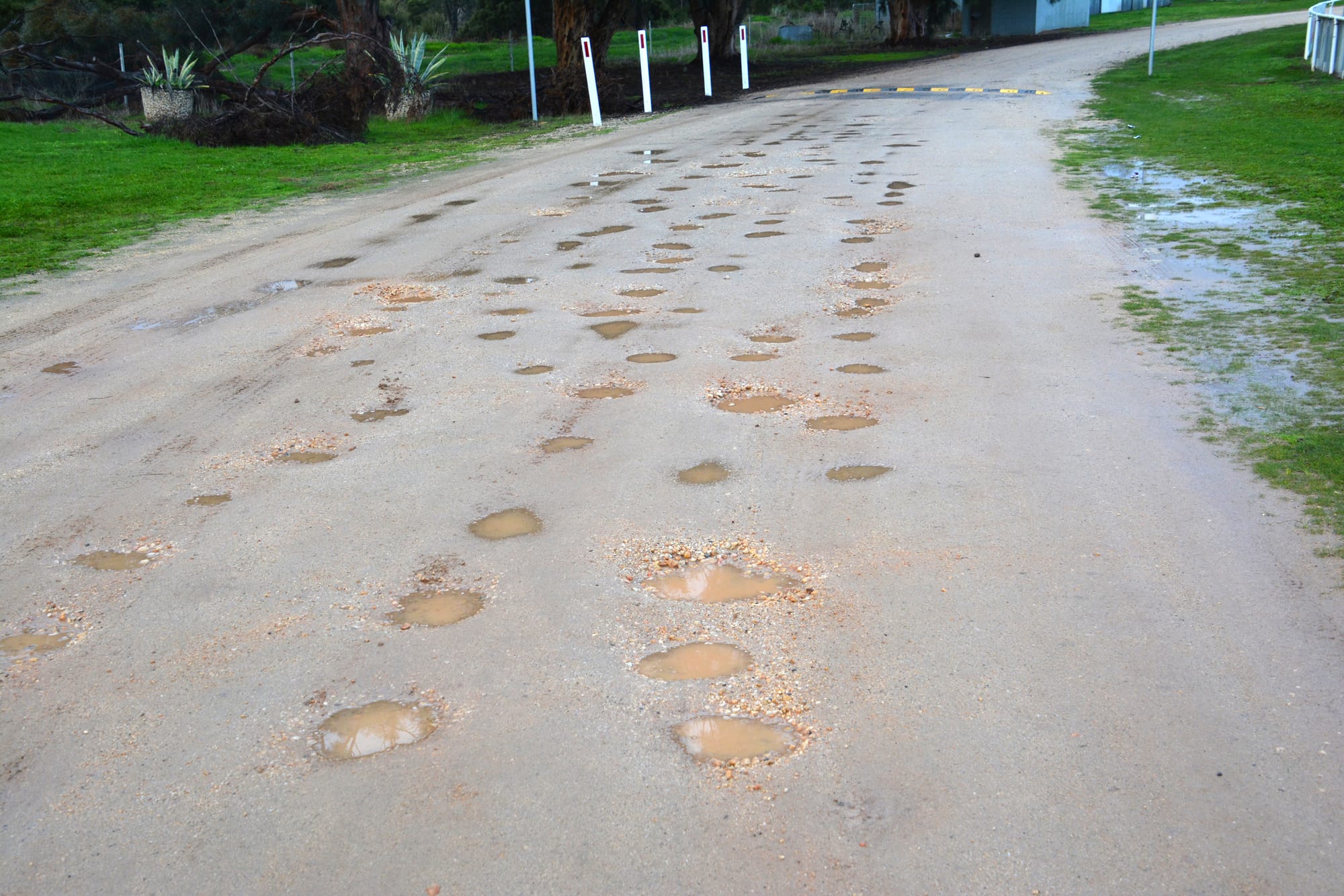 Editorial: “Holey, Holey, Holey”