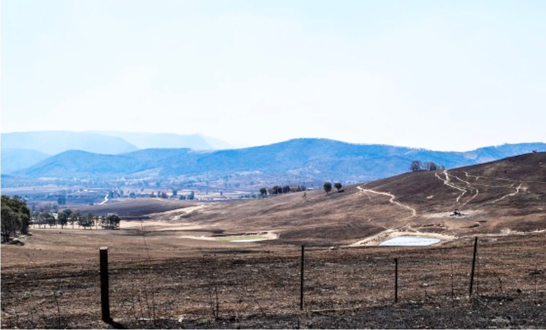 Make the Time to Finalise Your Livestock Fire Plan