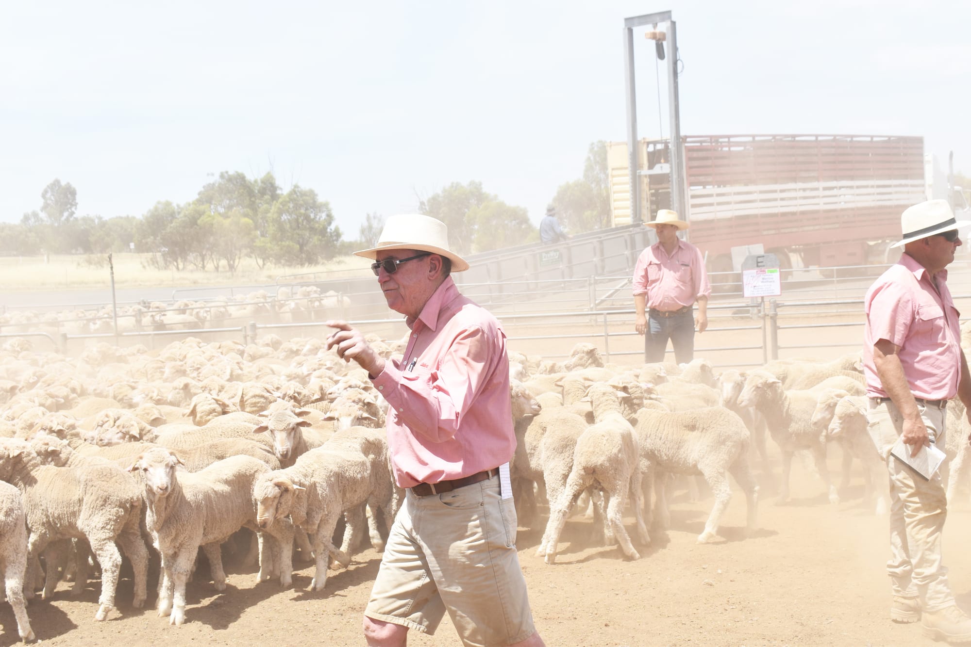 Wycheproof’s Final Store Sheep Sale for 2020