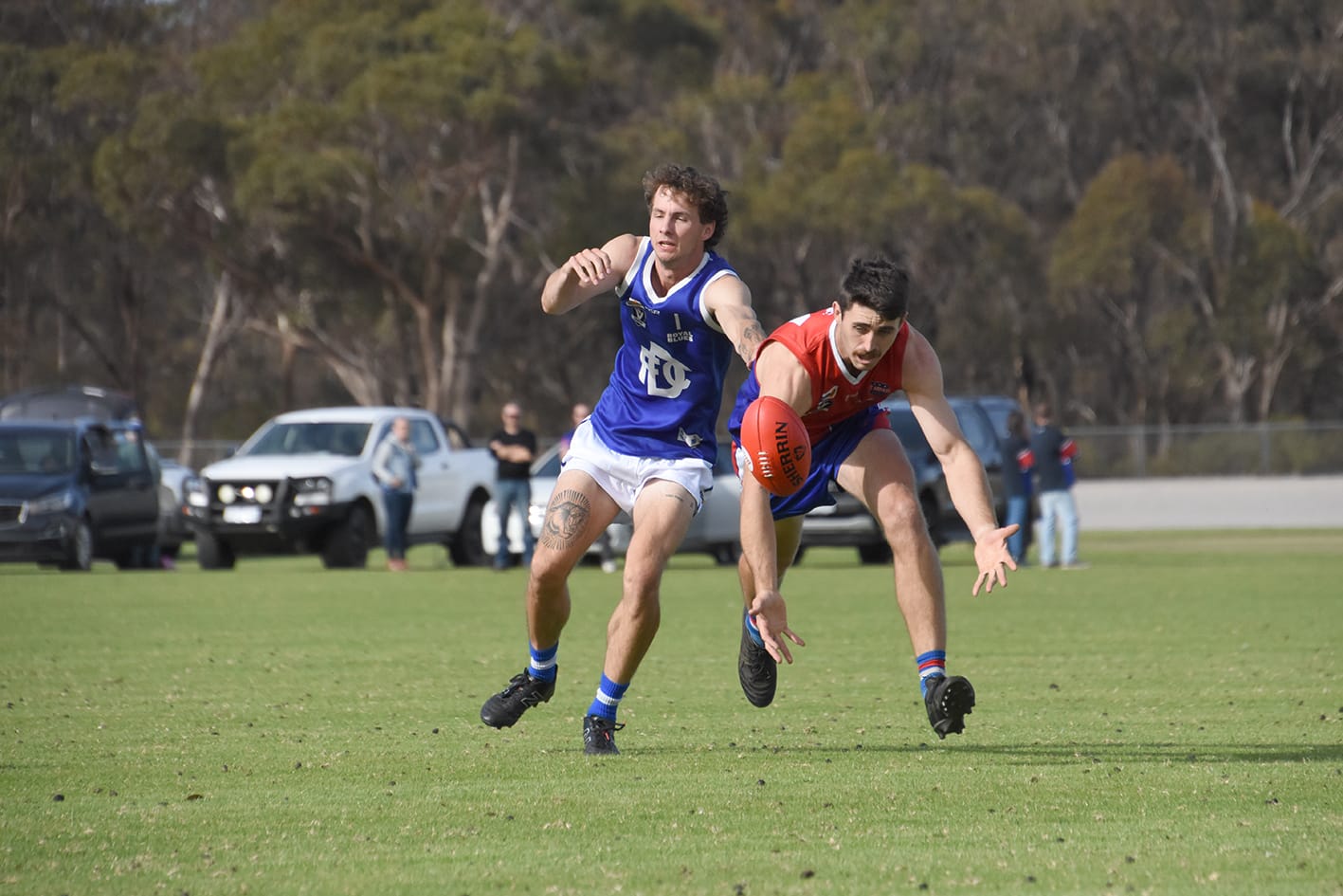 Magpies Soar as Tigers Tumble